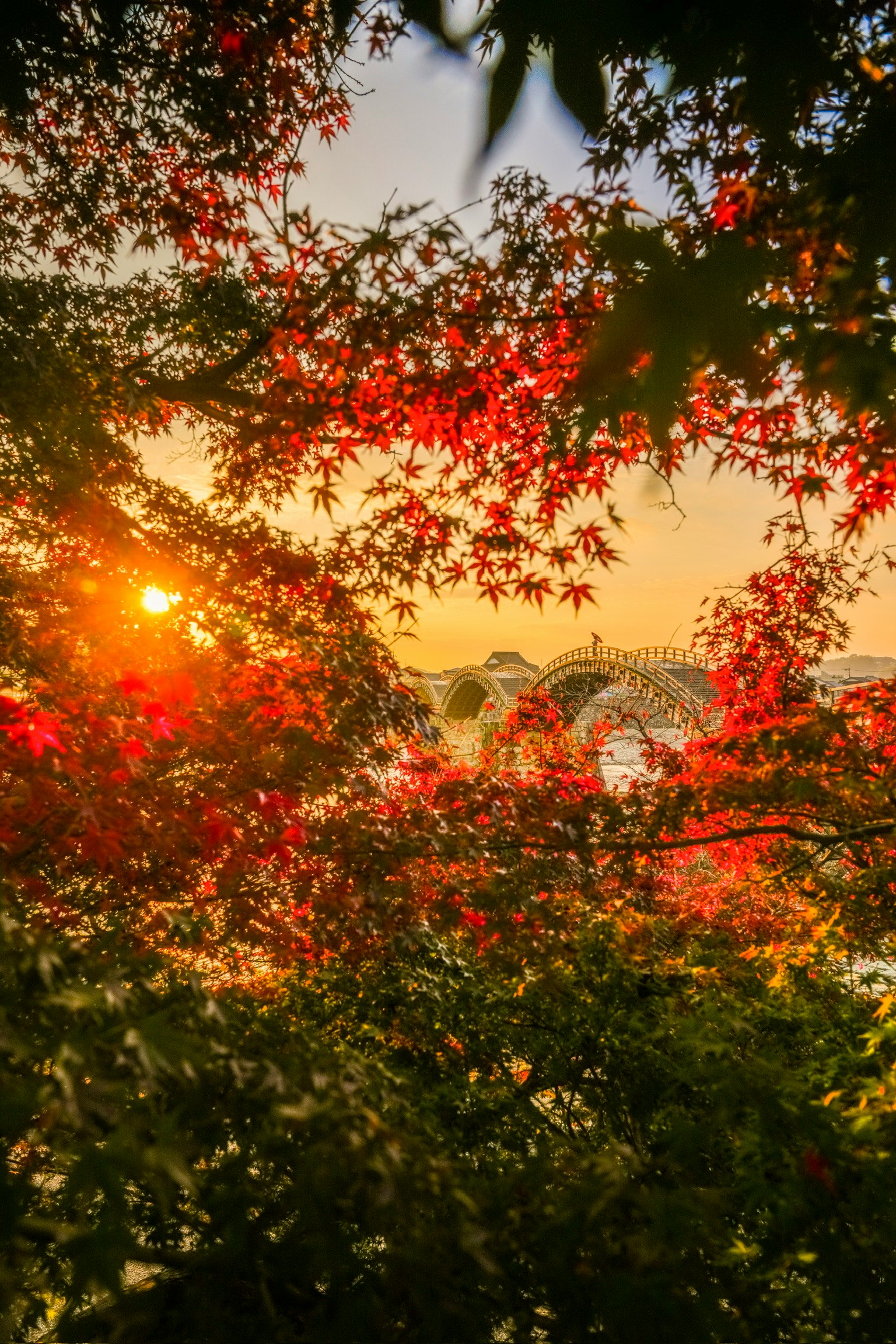 Hojas de otoño enmarcando el puente Kintai al atardecer