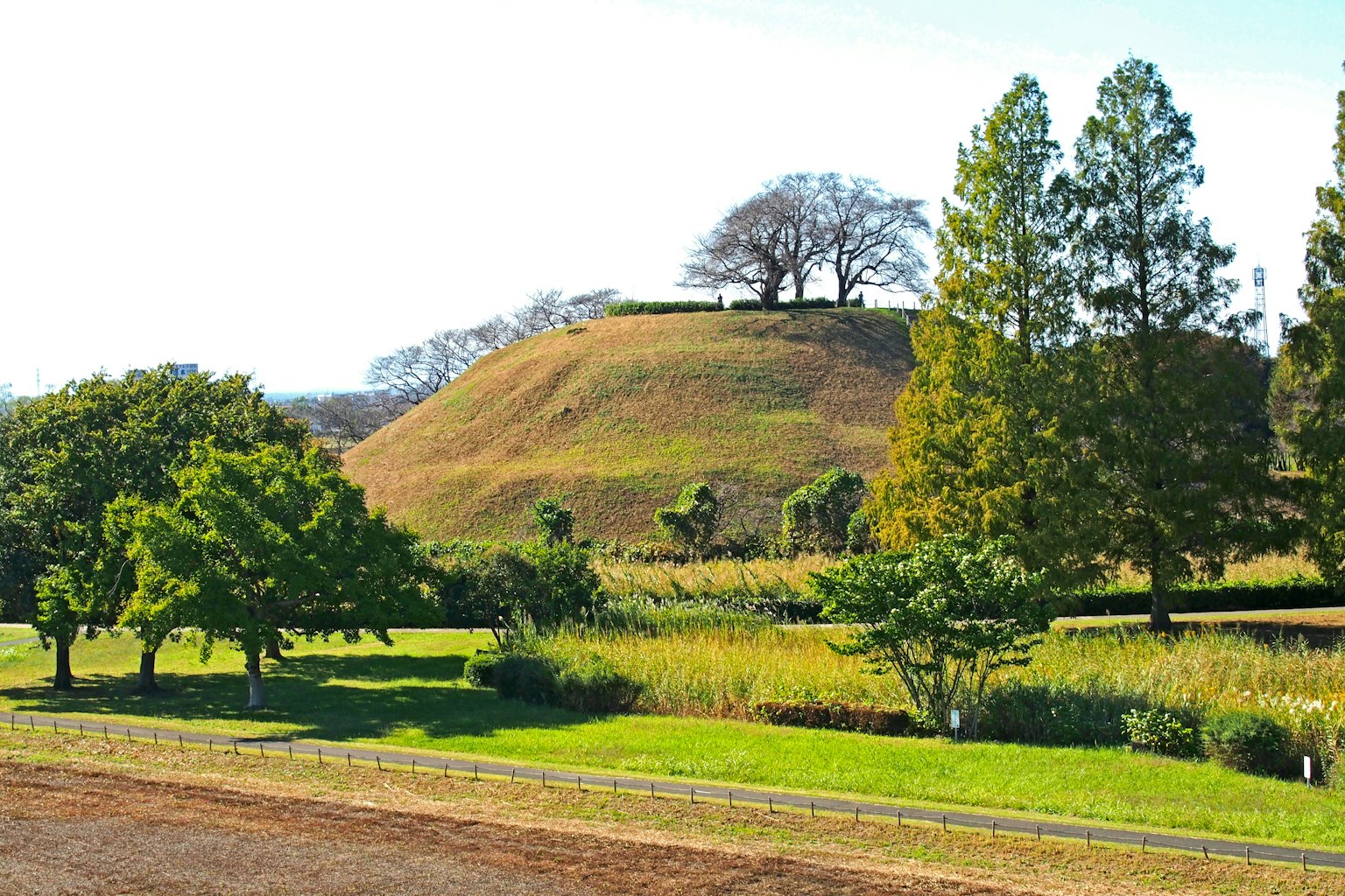 Landschaft mit einem Hügel und üppigem Grün