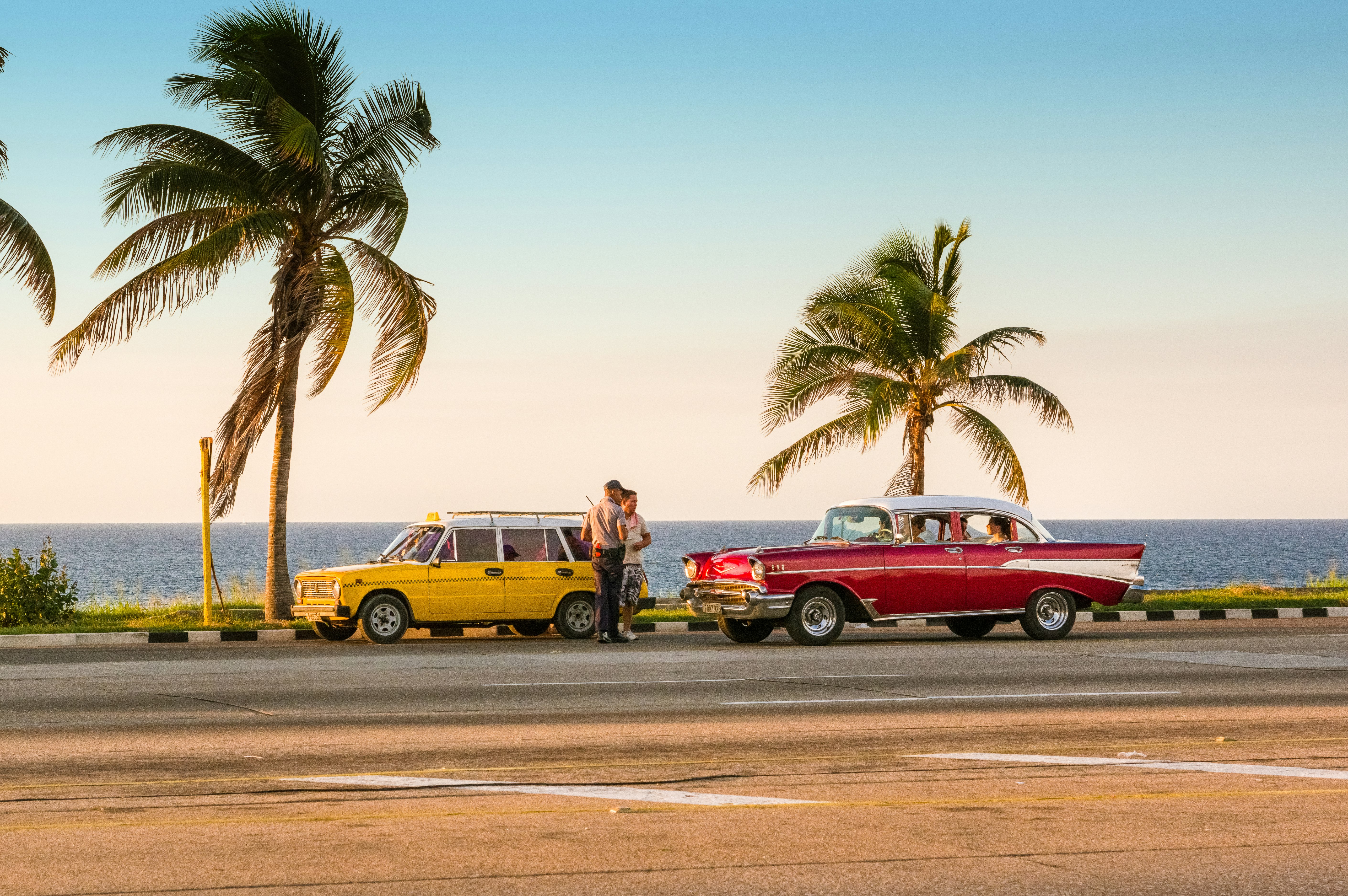 A man and woman talking by vintage cars on a seaside road with palm trees