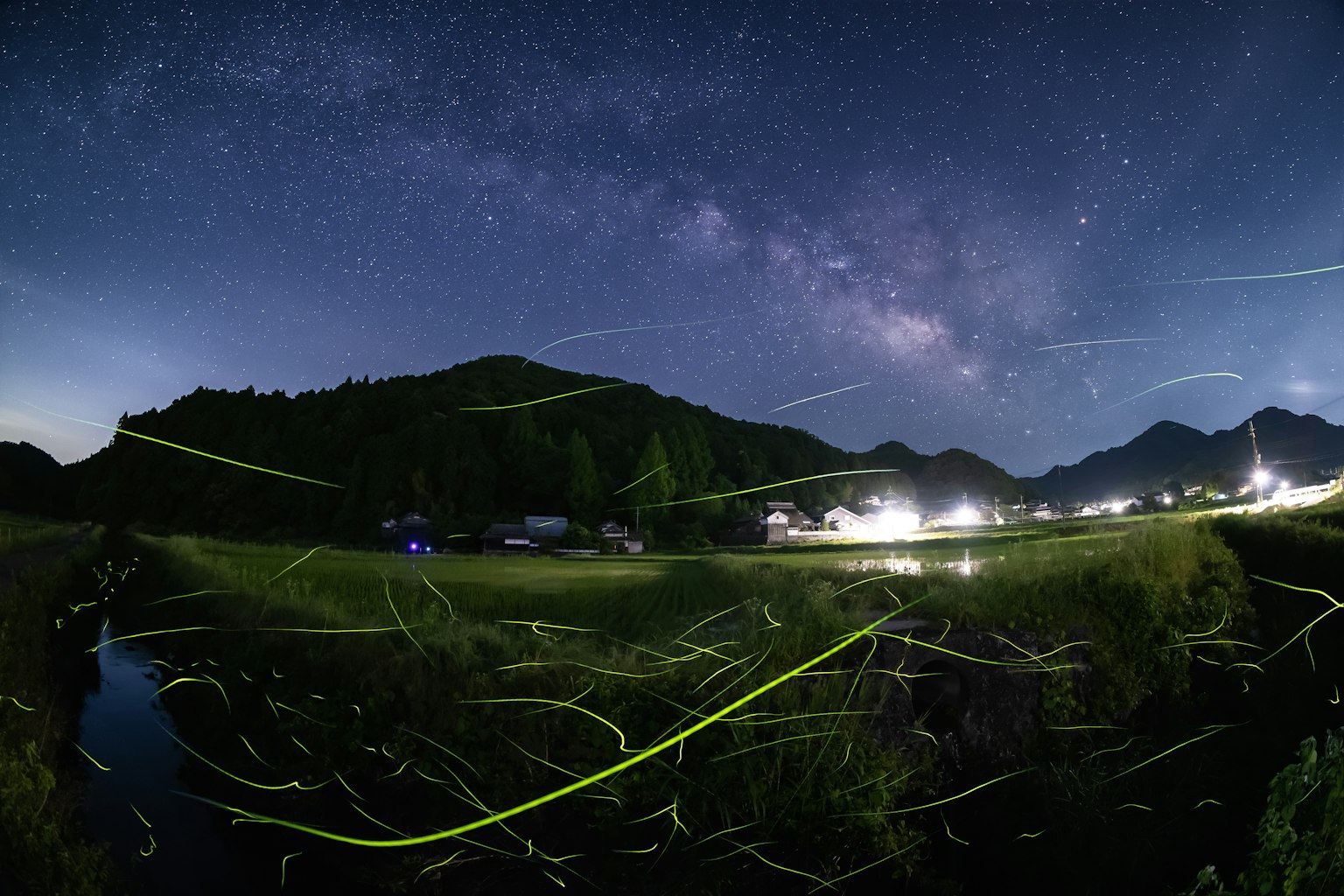 星空璀璨與螢火蟲閃爍的夜景