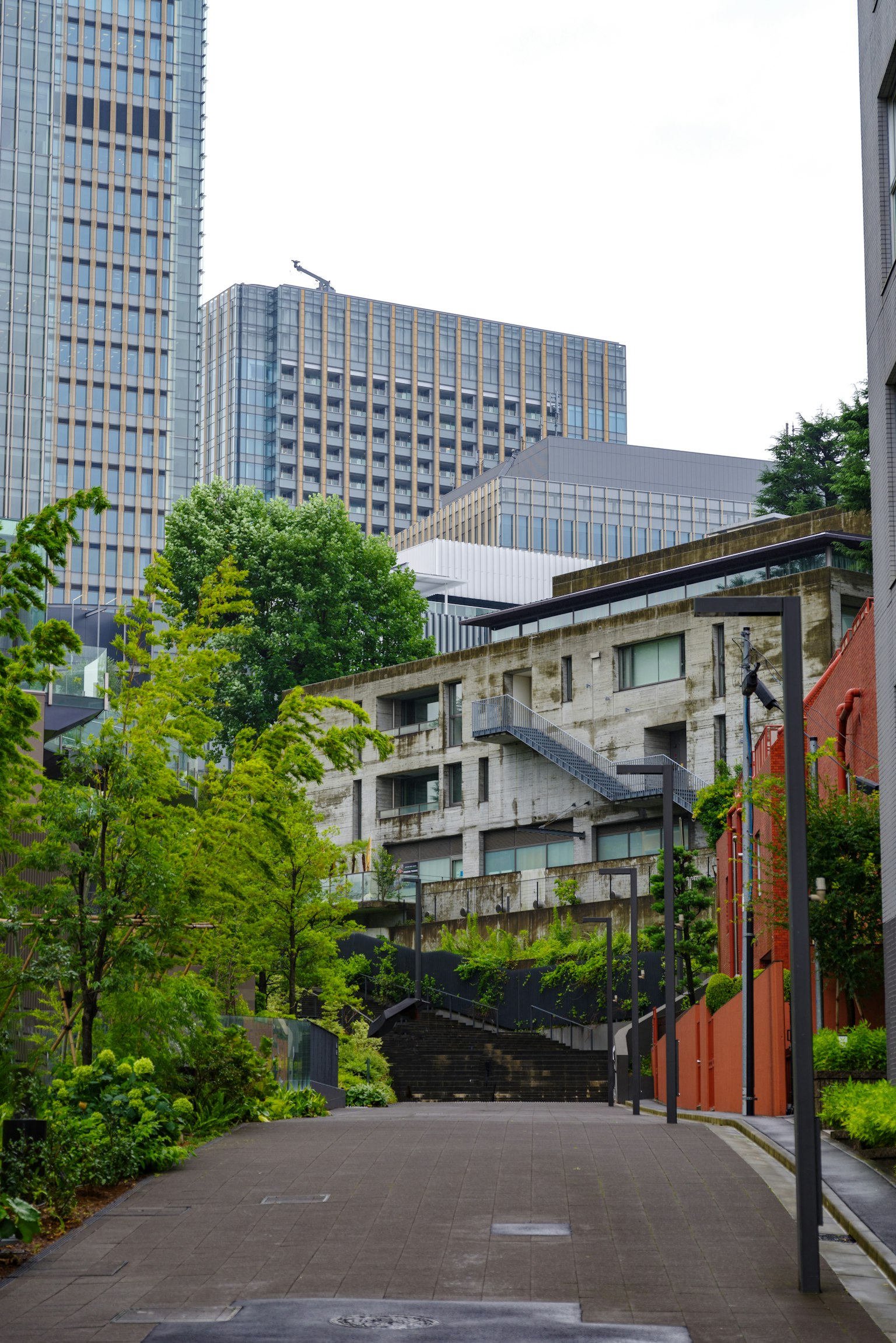 被城市建築包圍的綠色街道