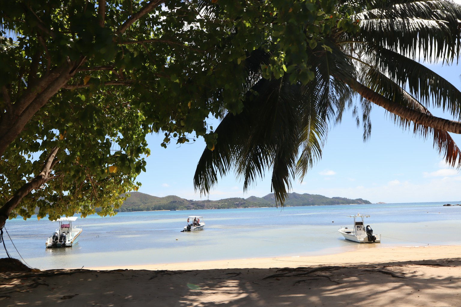 Tropical beach scene with boats floating on blue water and palm trees