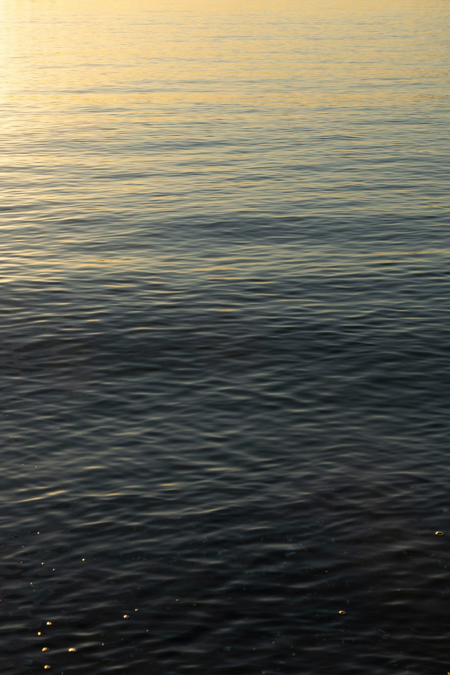Superficie de agua tranquila reflejando la luz del atardecer
