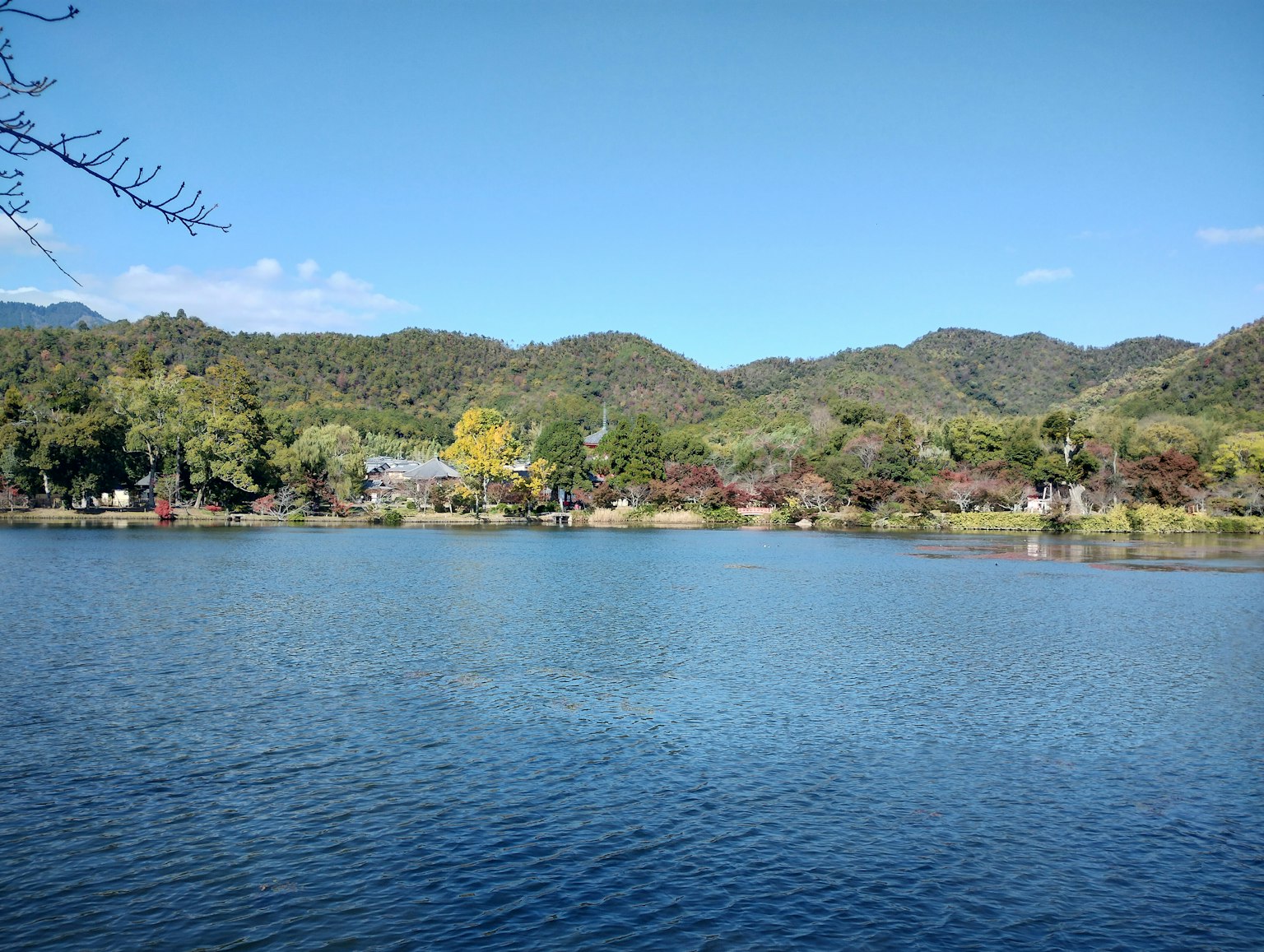 宁静的湖泊与郁郁葱葱的山脉背景