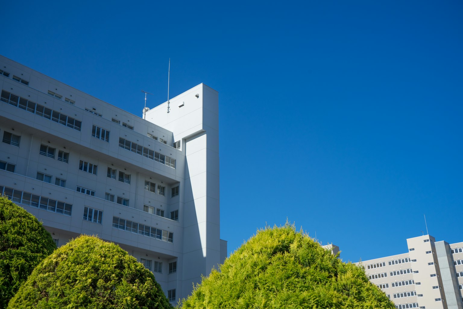 Bâtiment moderne avec un aménagement paysager vert sous un ciel bleu