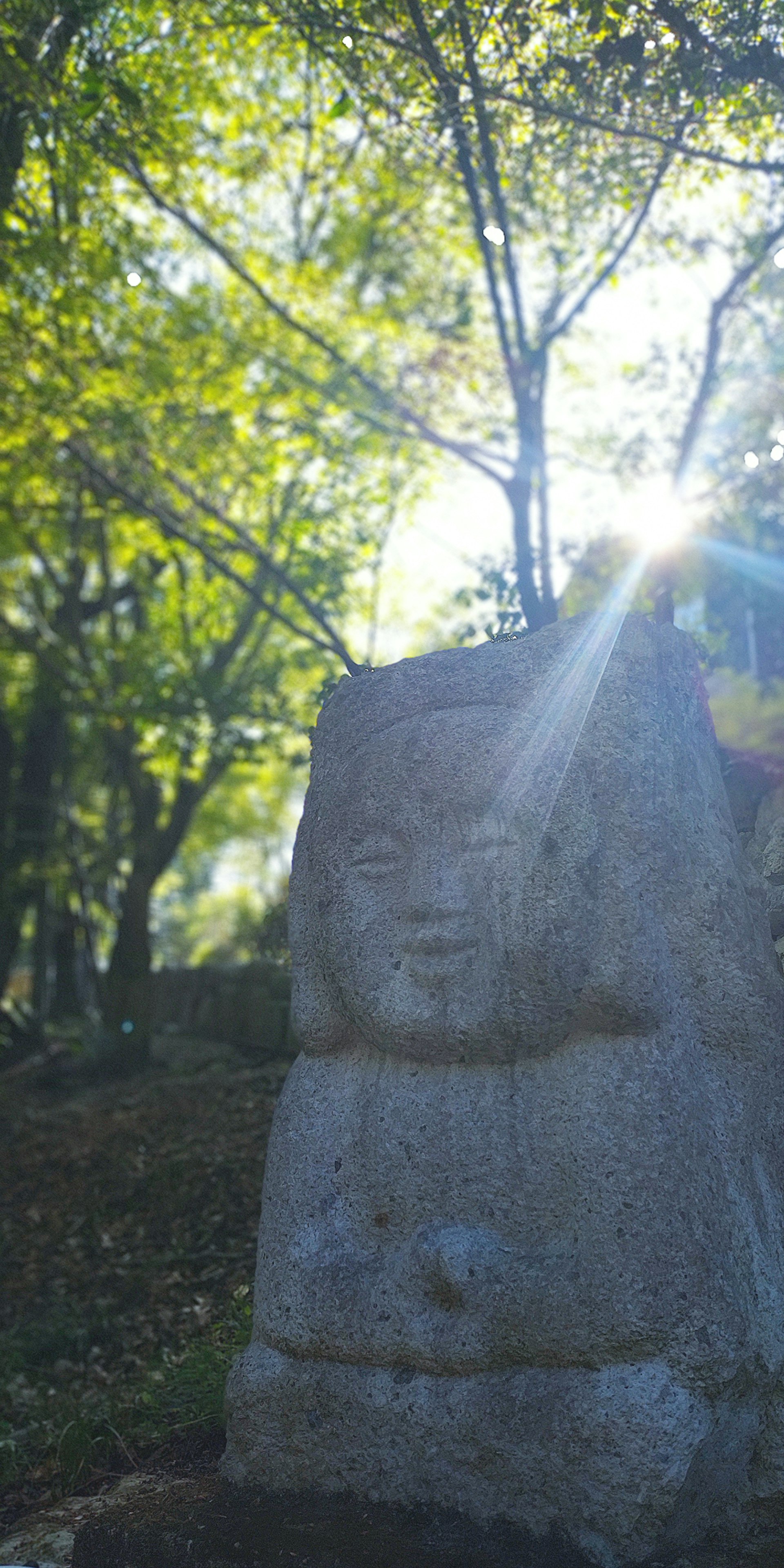stone Buddha statue in dappled sunlight