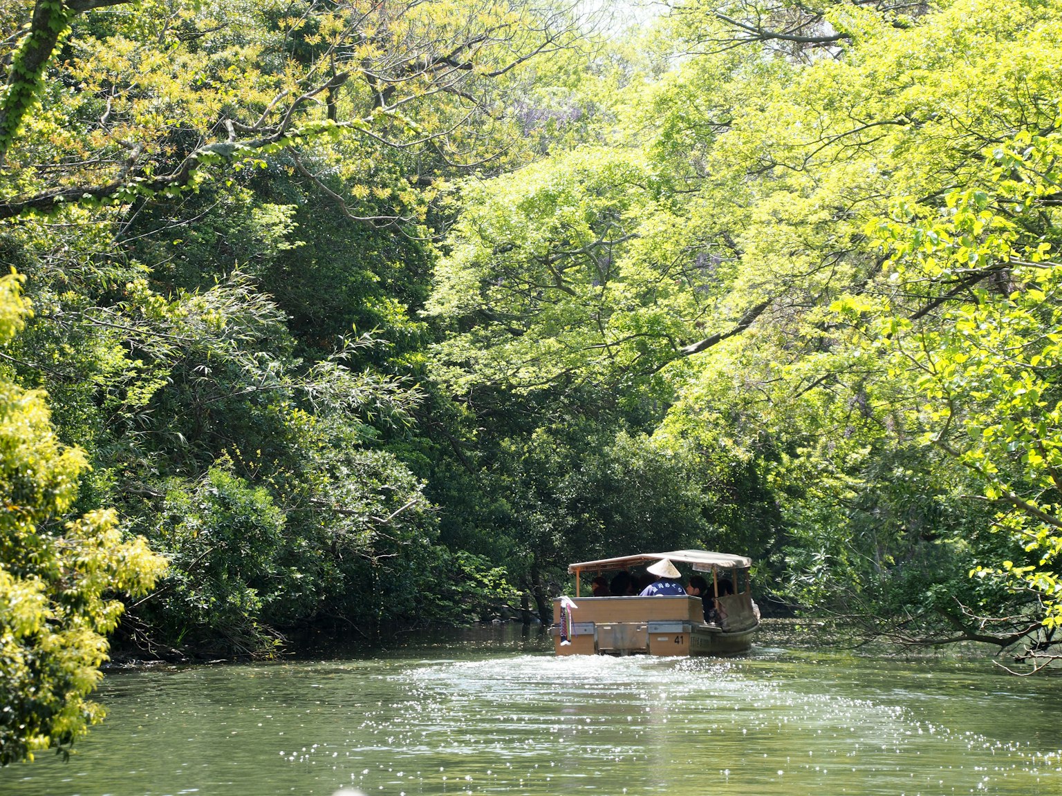 Un petit bateau naviguant sur une voie navigable entourée de verdure luxuriante