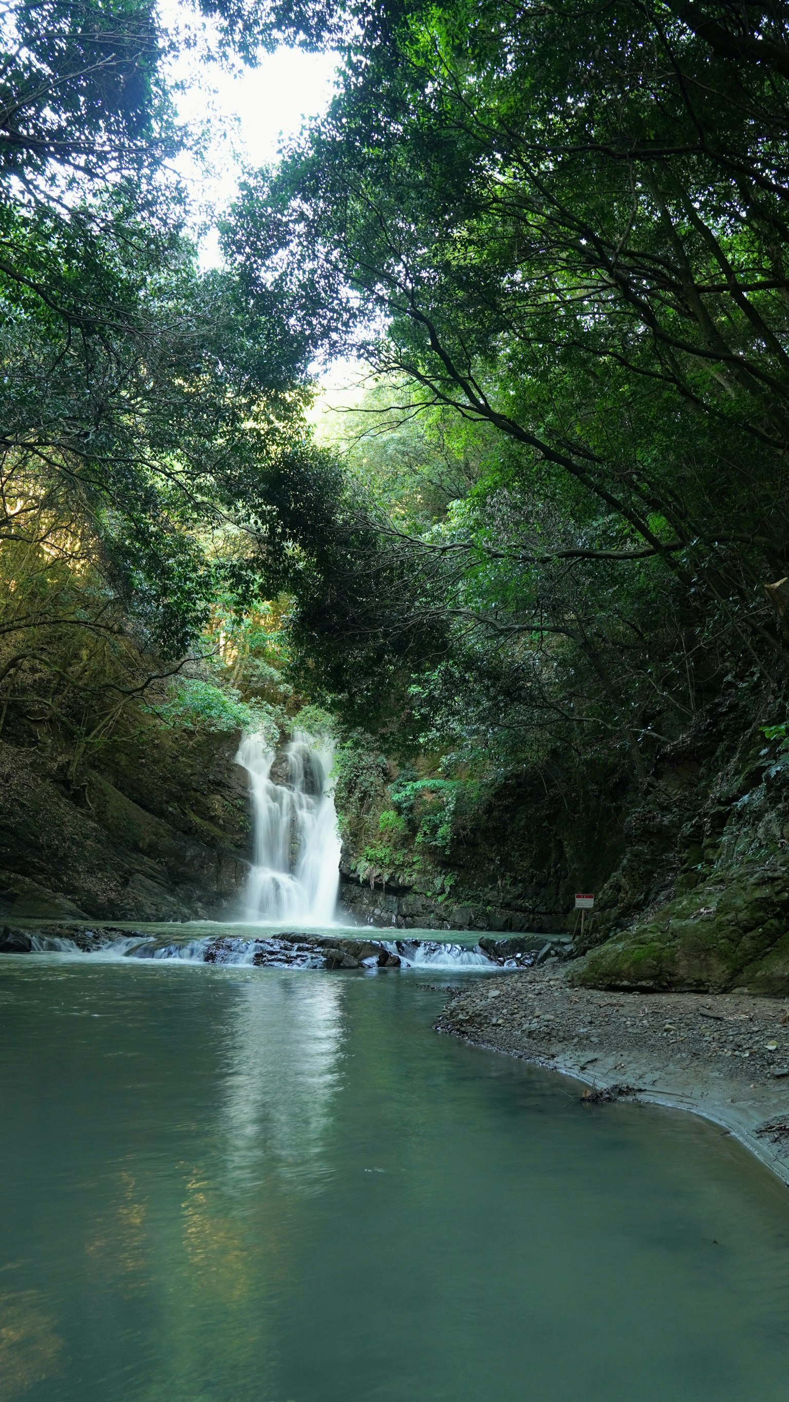Ein ruhiger Wasserfall umgeben von üppigem Grün und klarem Wasser