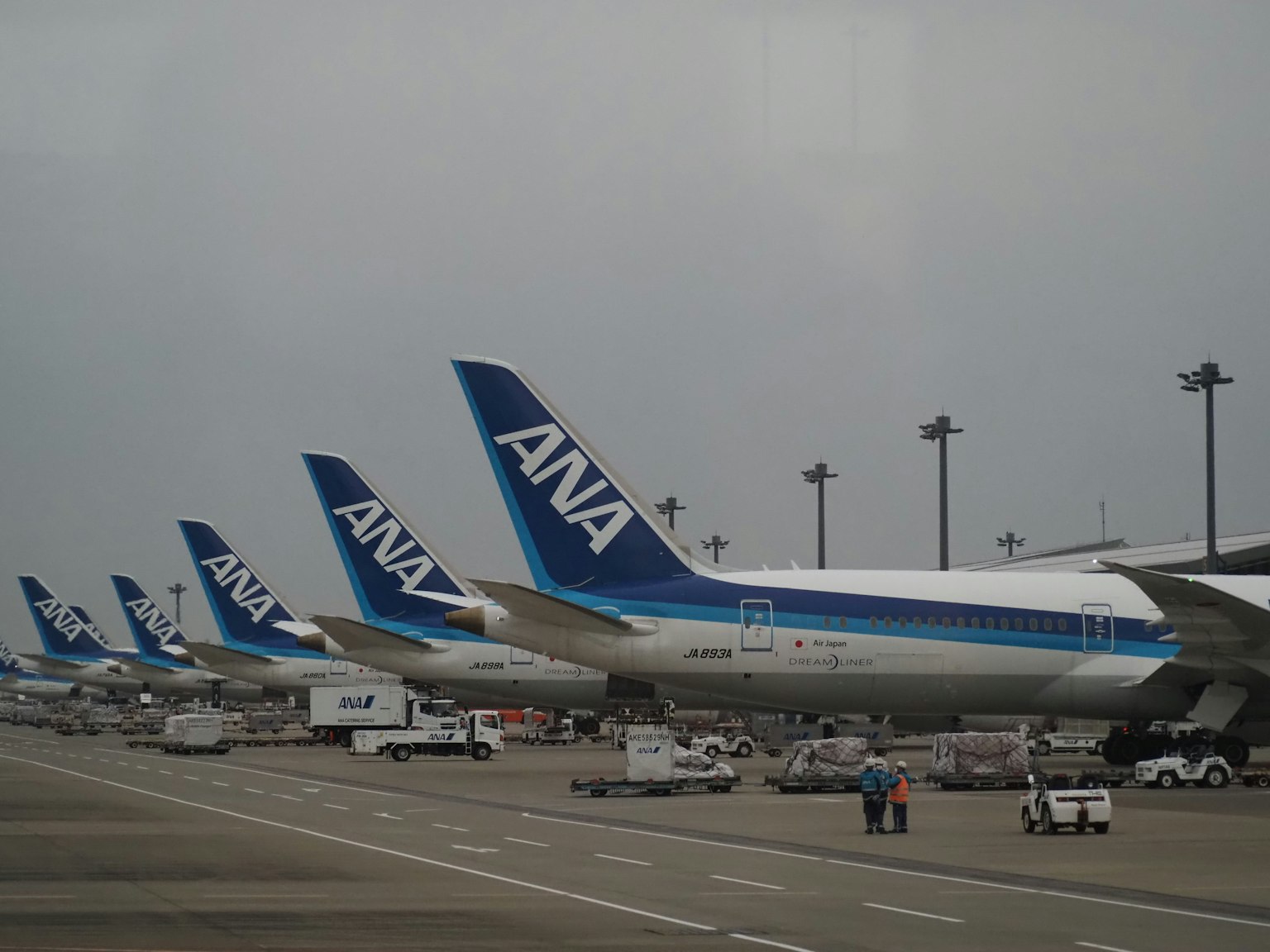 Alignement d'avions ANA à l'aéroport