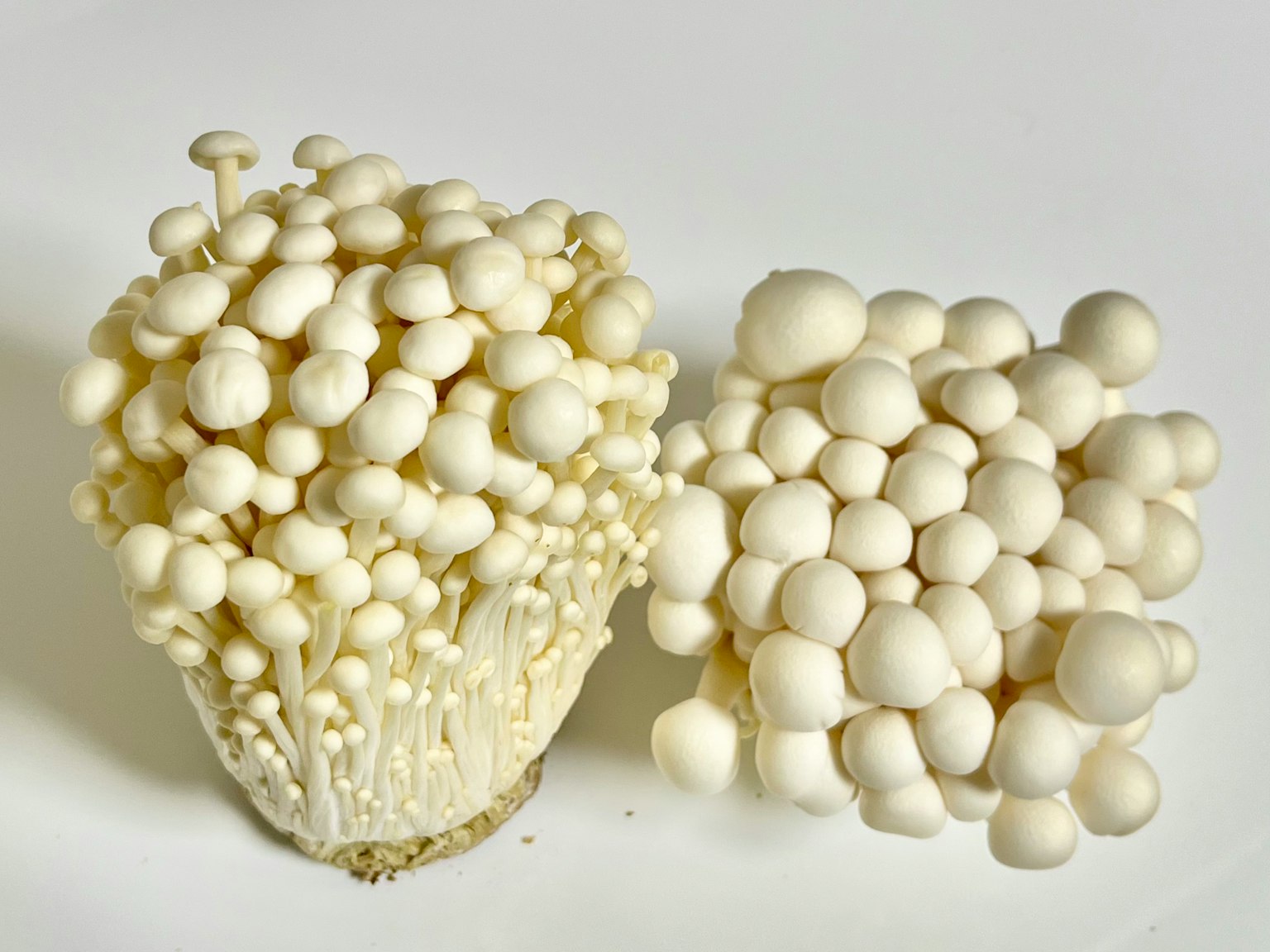 Kumpulan jamur enoki putih dengan bentuk individu