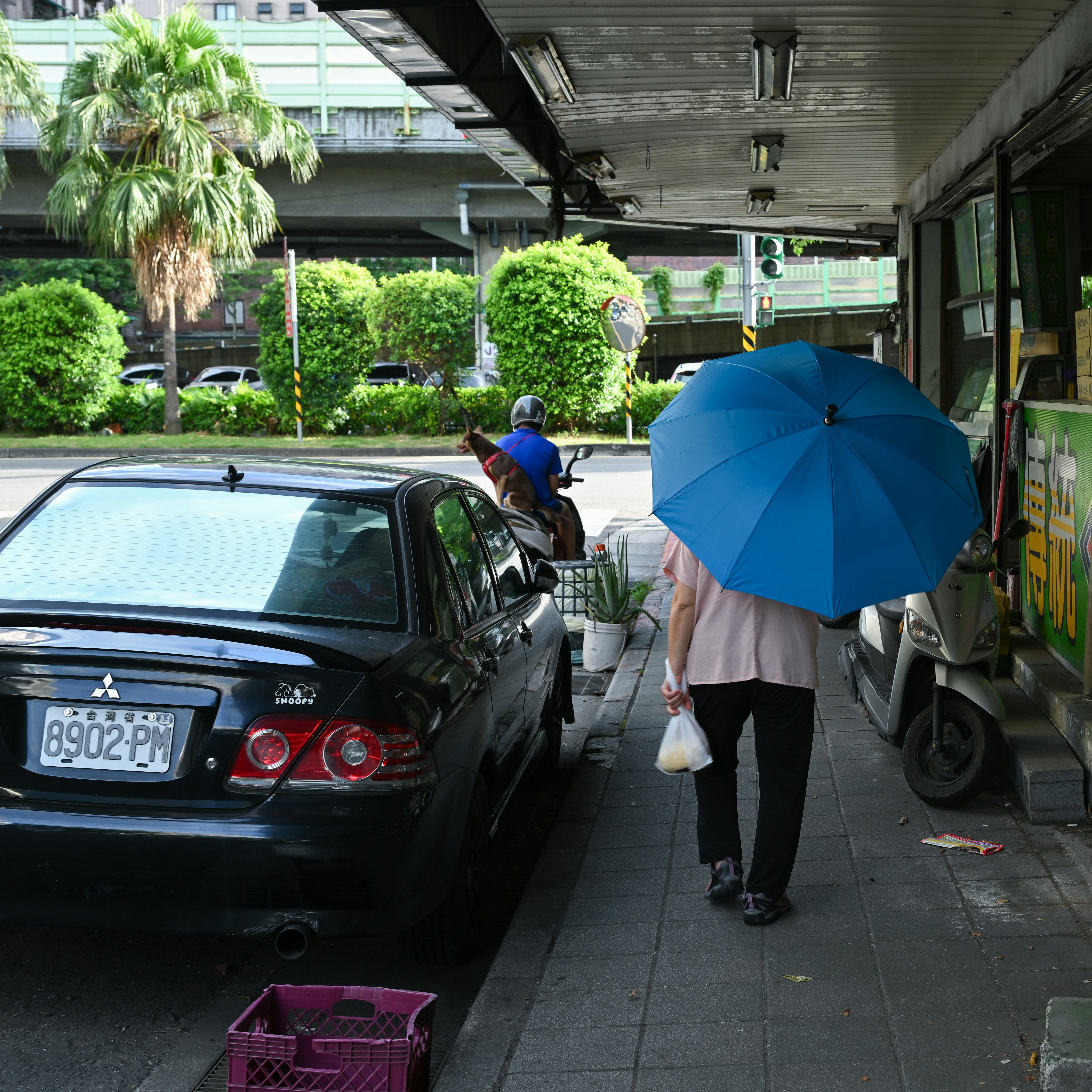 青い日傘の人と車が並ぶ屋根付き通路