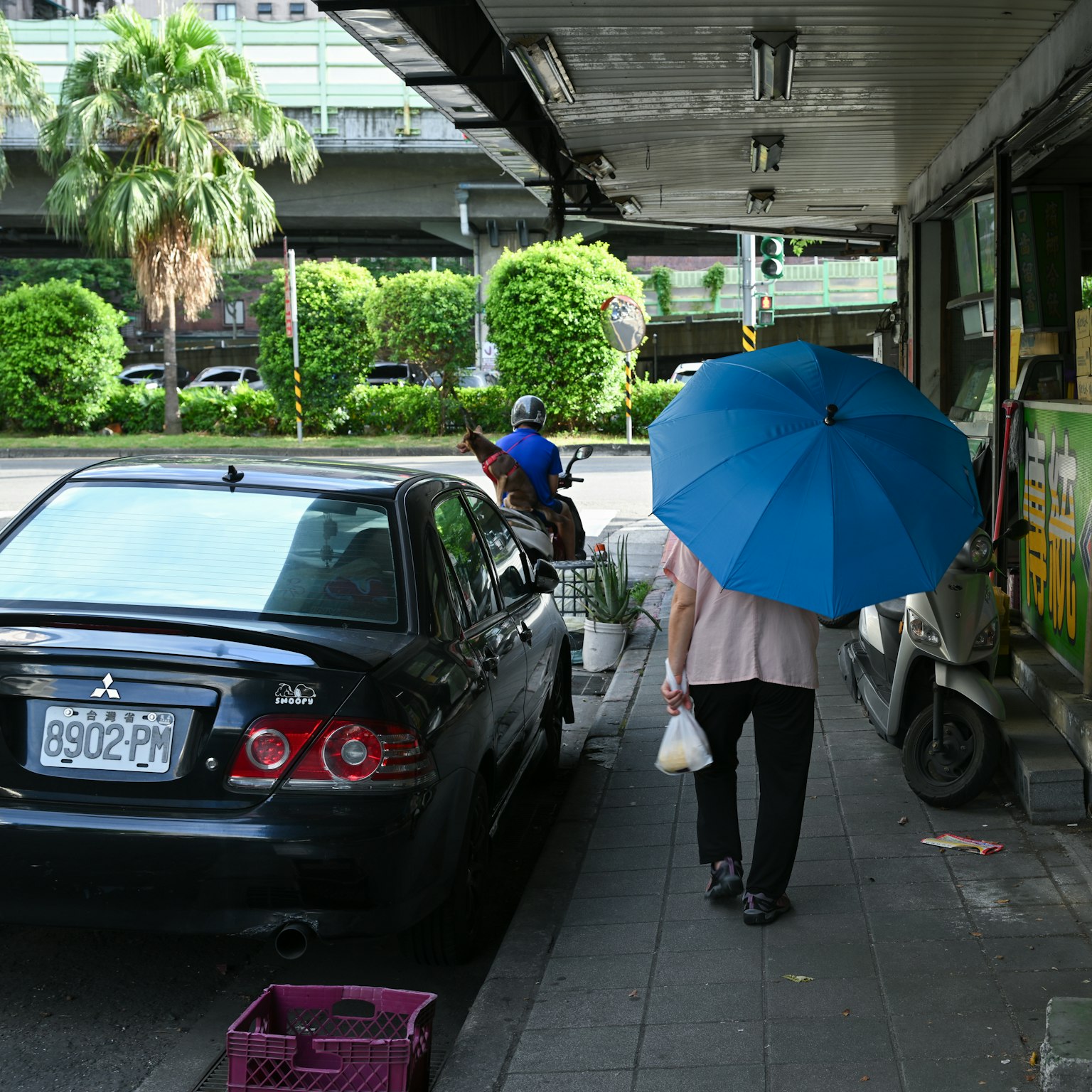 Una persona che cammina con un ombrello blu in una scena cittadina con un'auto e piante verdi