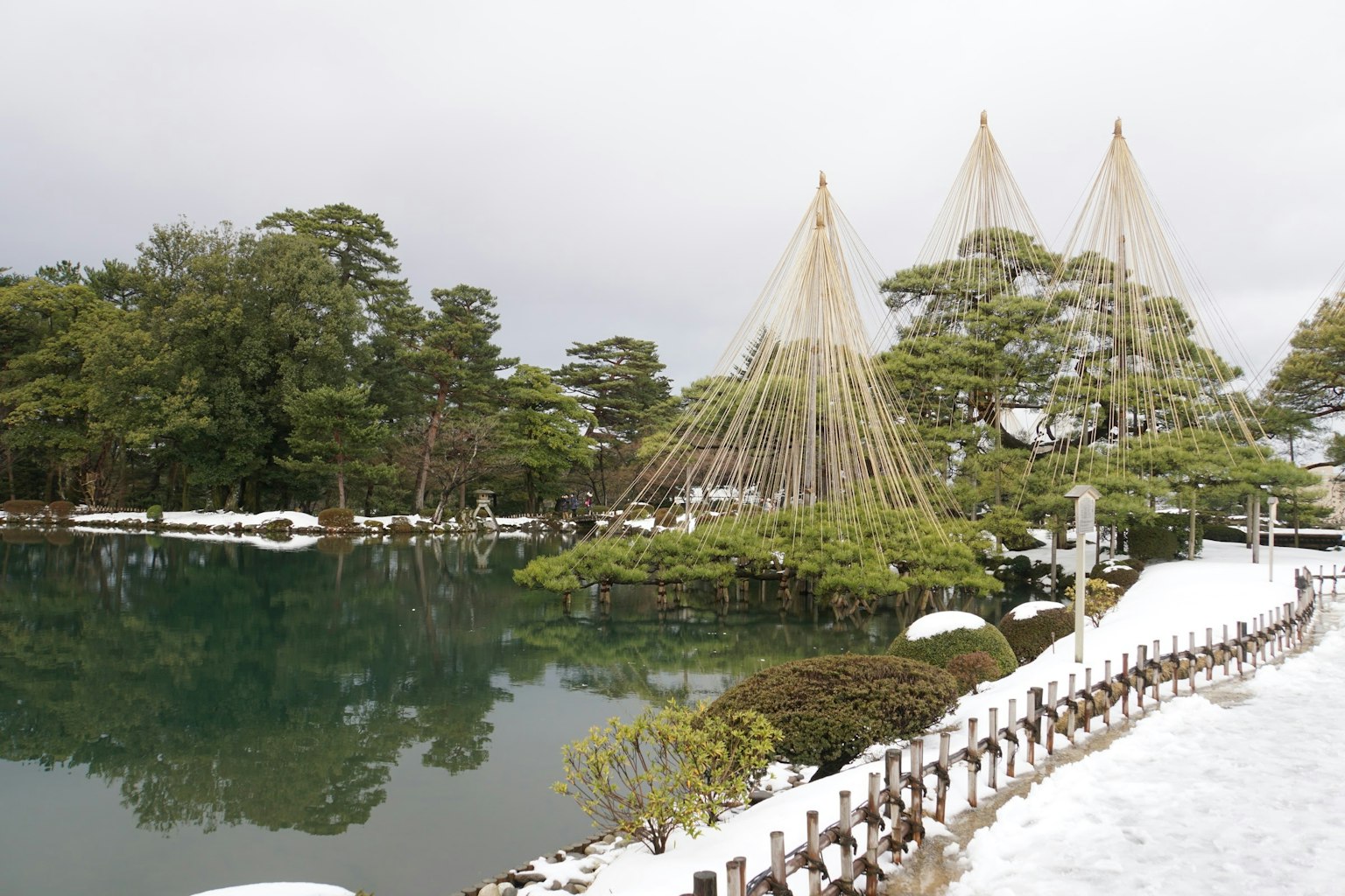 Jardín cubierto de nieve con un estanque y pinos con protección de nieve