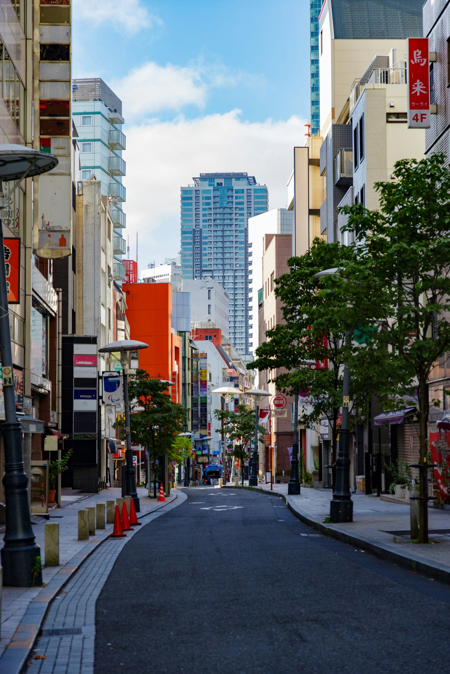 安静的城市街道，两旁是商业建筑和绿色树木