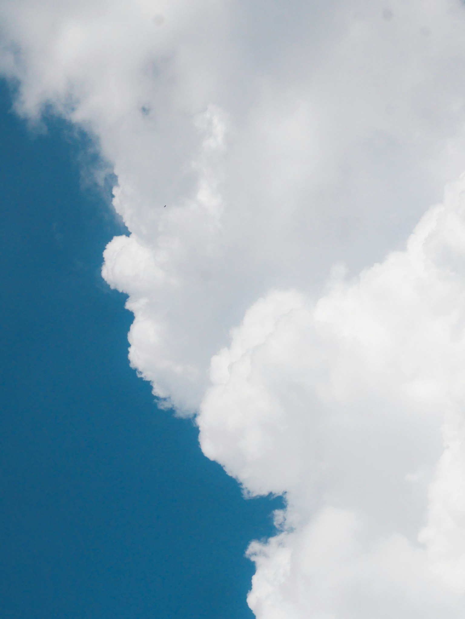 Primo piano di nuvole bianche contro un cielo blu