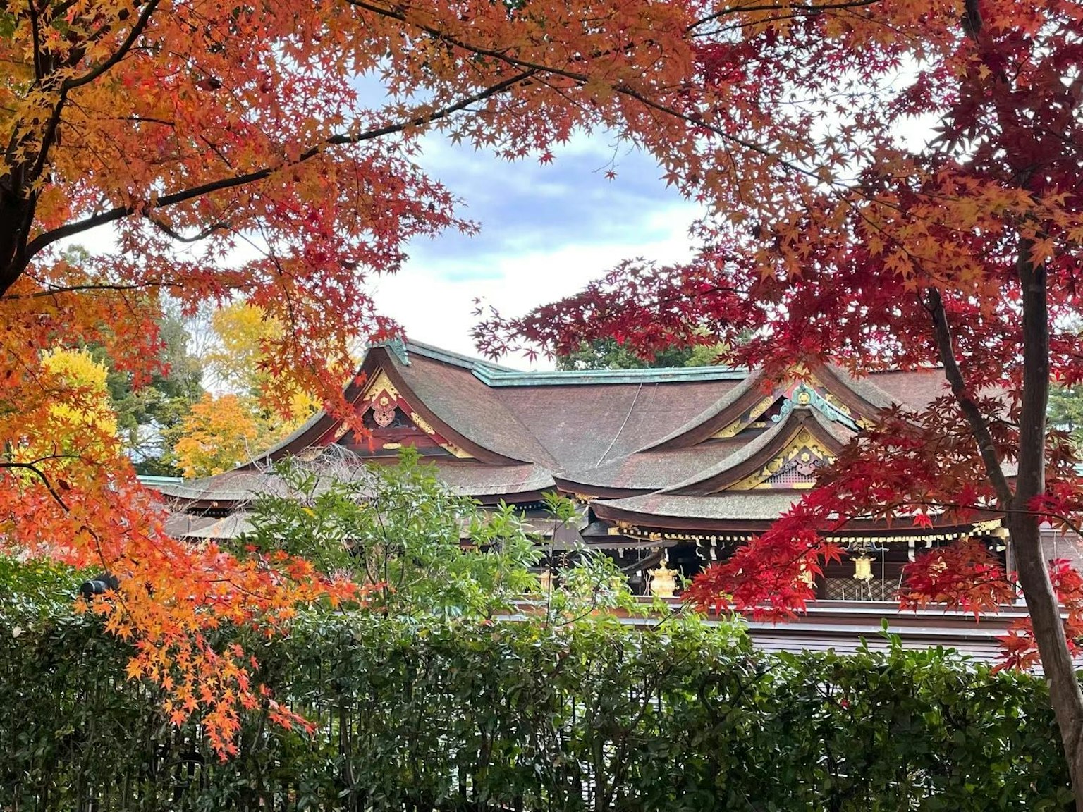Toit d'un sanctuaire japonais traditionnel entouré de feuillage d'automne