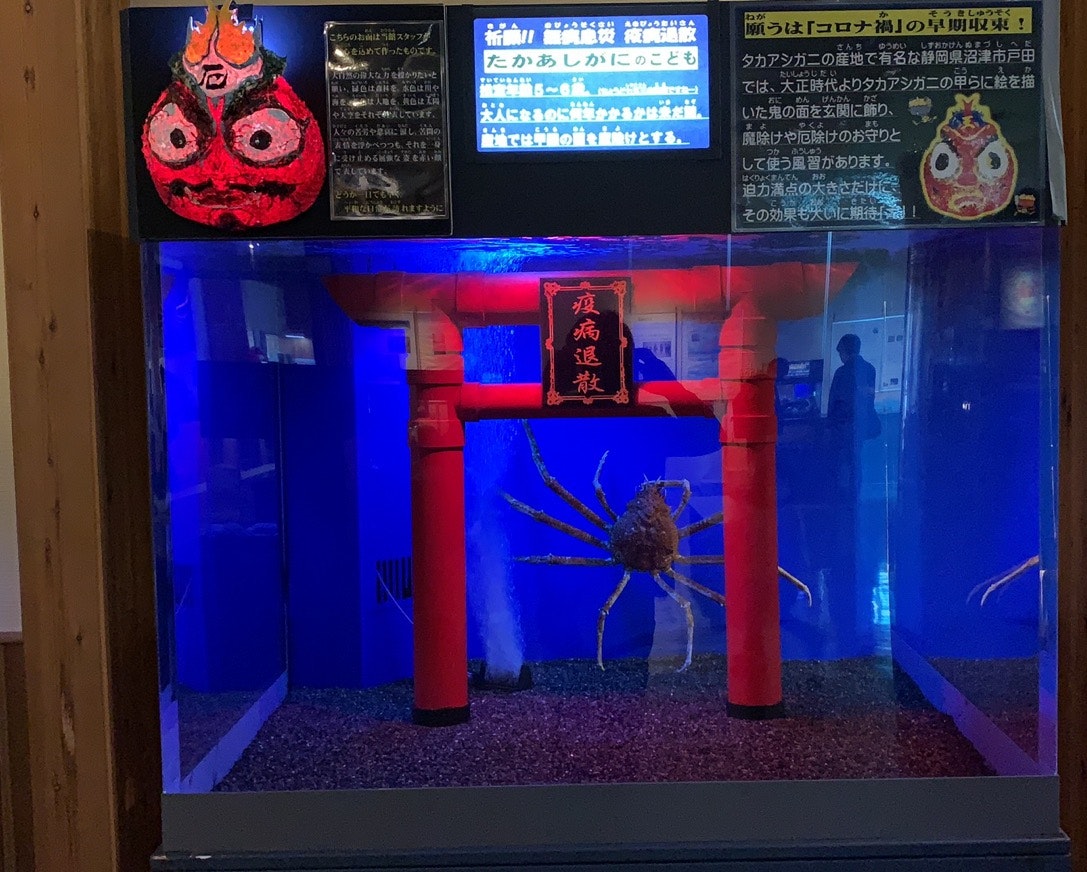 青と赤の光に照らされた店内のキャラクター看板