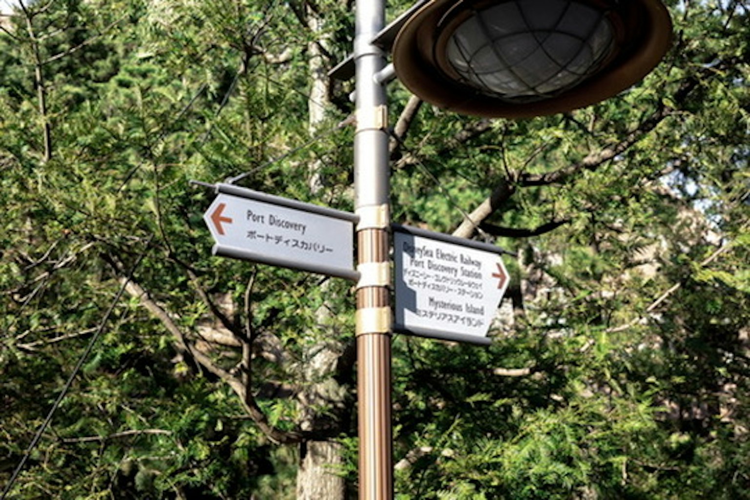 Segnale stradale tra gli alberi