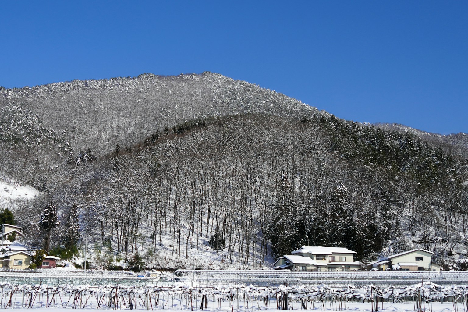 Snow-covered mountain landscape under a clear blue sky