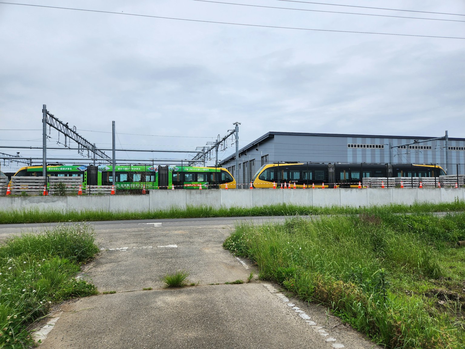 Tren verde y amarillo exhibido en un entorno ferroviario