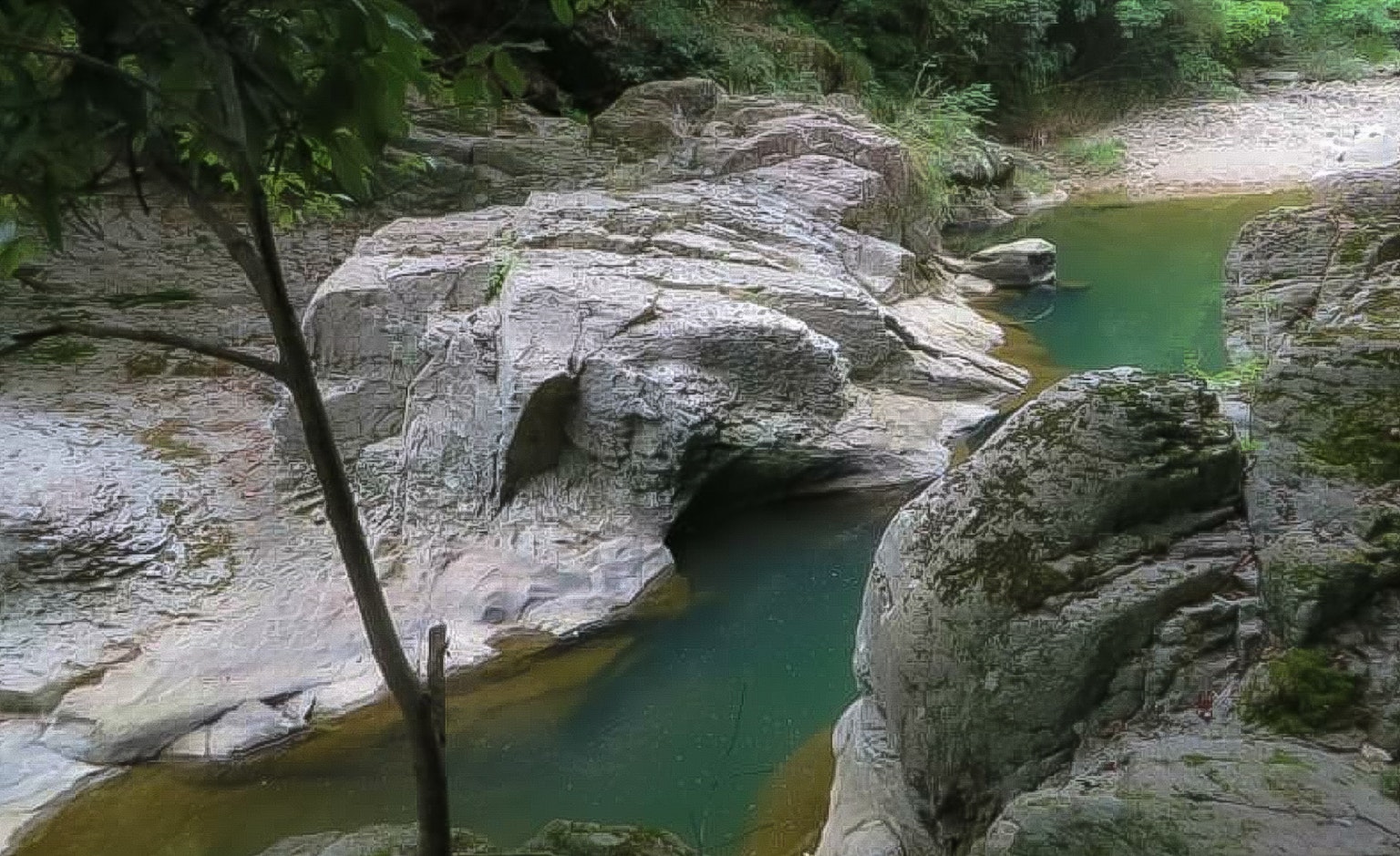 宁静的河流景观，四周环绕着郁郁葱葱的绿色植物，水流在岩石之间