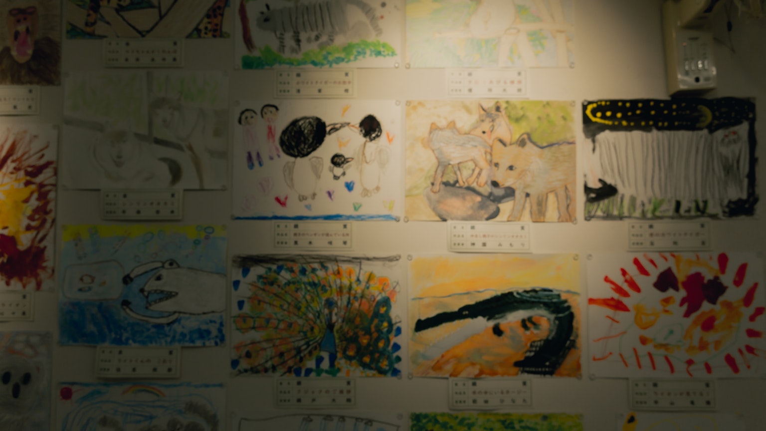 벽에 전시된 어린이 그림 모음