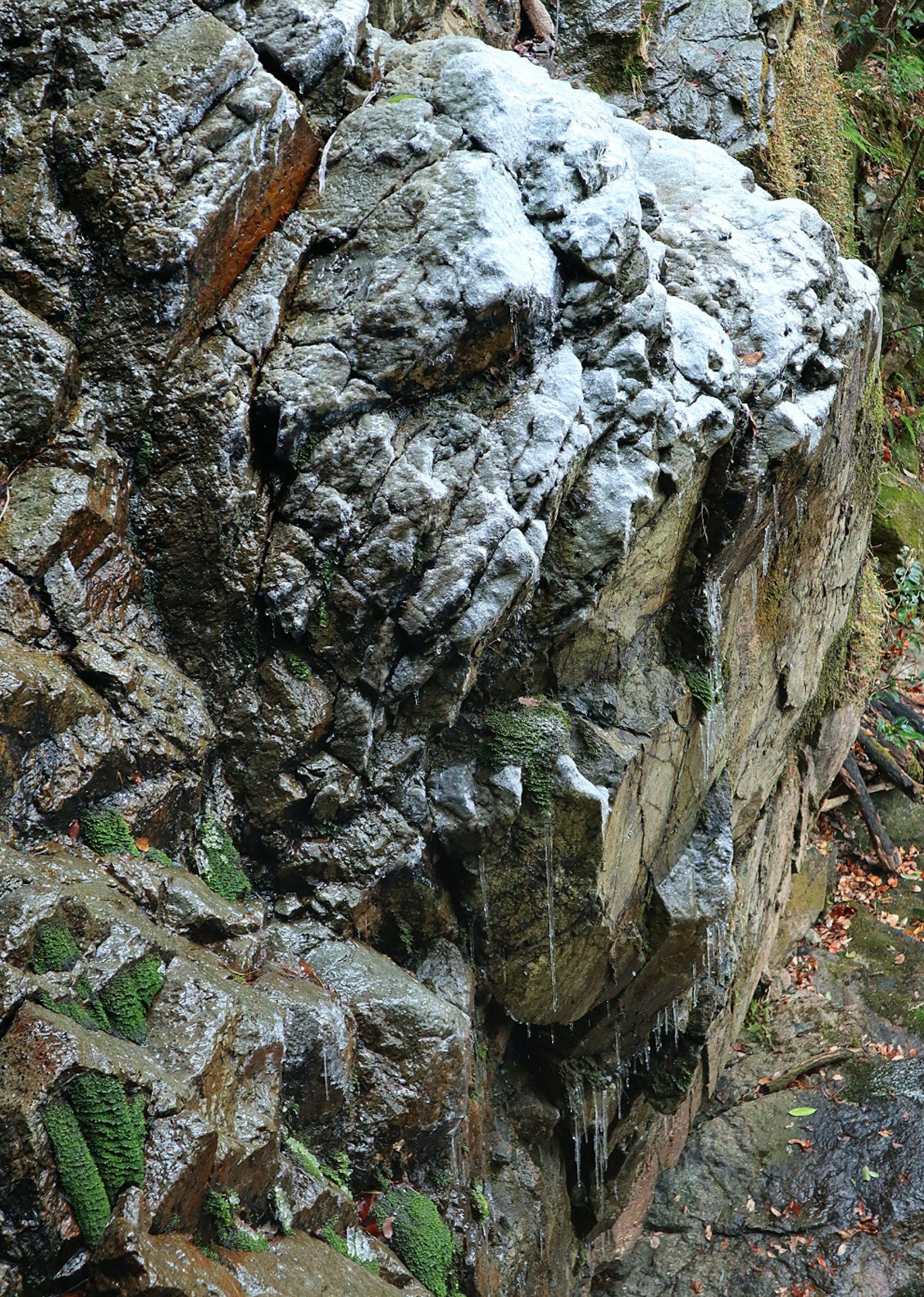 Una superficie rocosa con agua fluyendo y musgo verde vibrante en un entorno natural