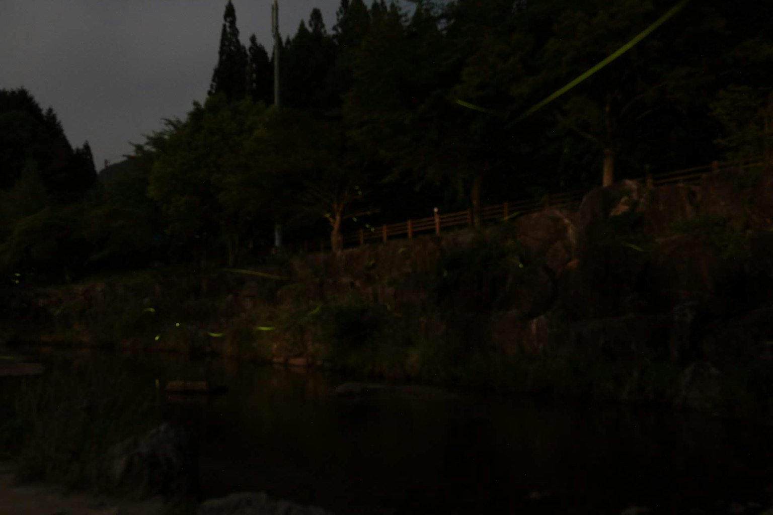 A dark riverside scene featuring trees and rocks