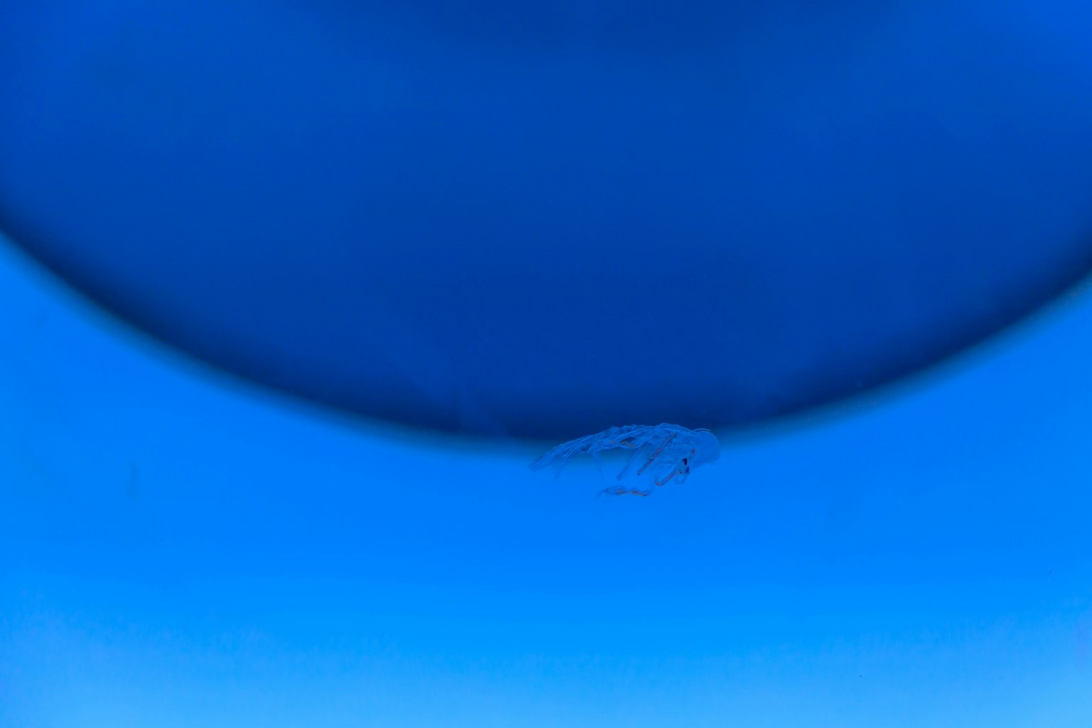 Fond dégradé bleu avec une petite imperfection