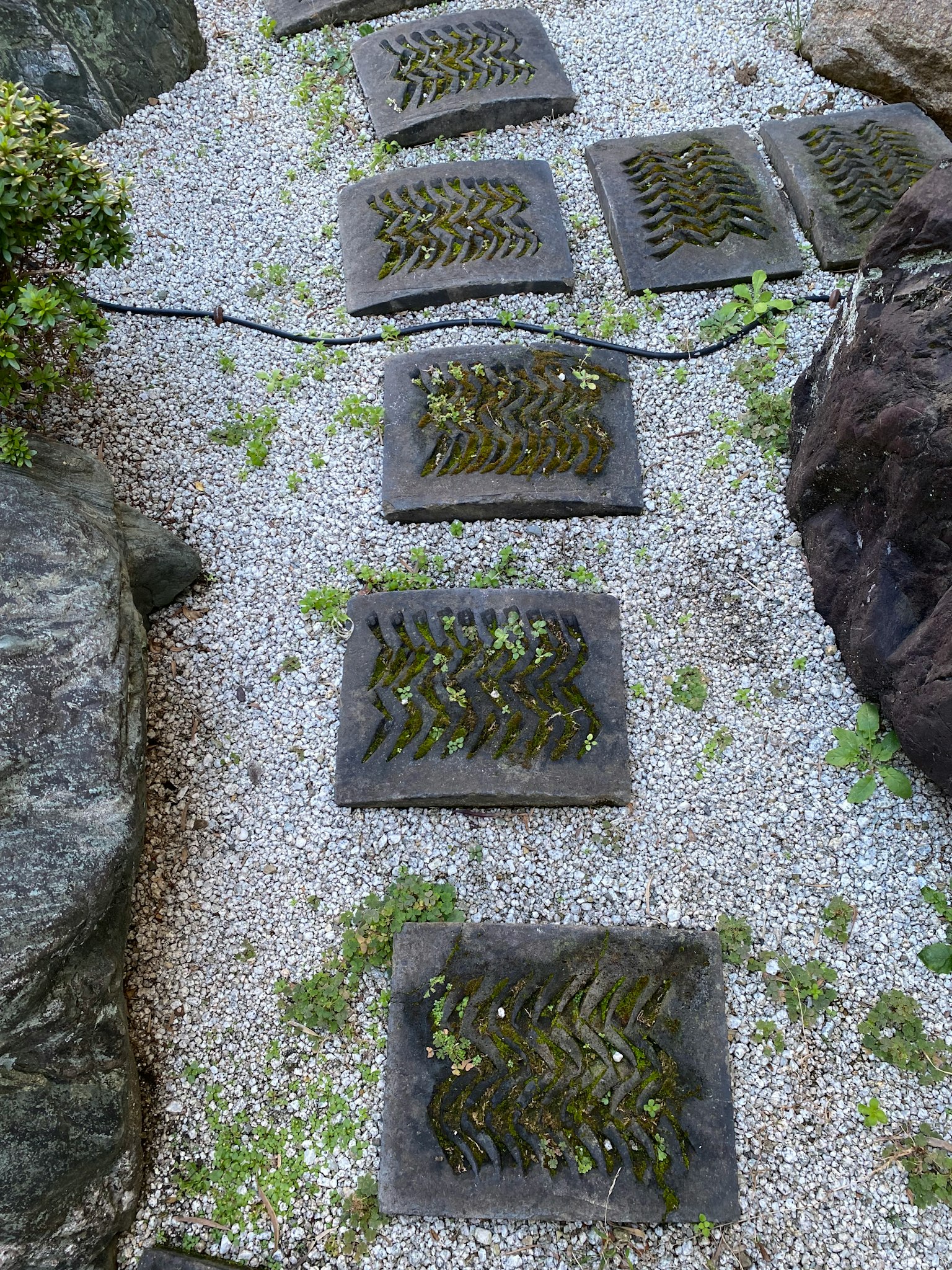 Sentiero con lastre di pietra coperte di muschio in un giardino giapponese