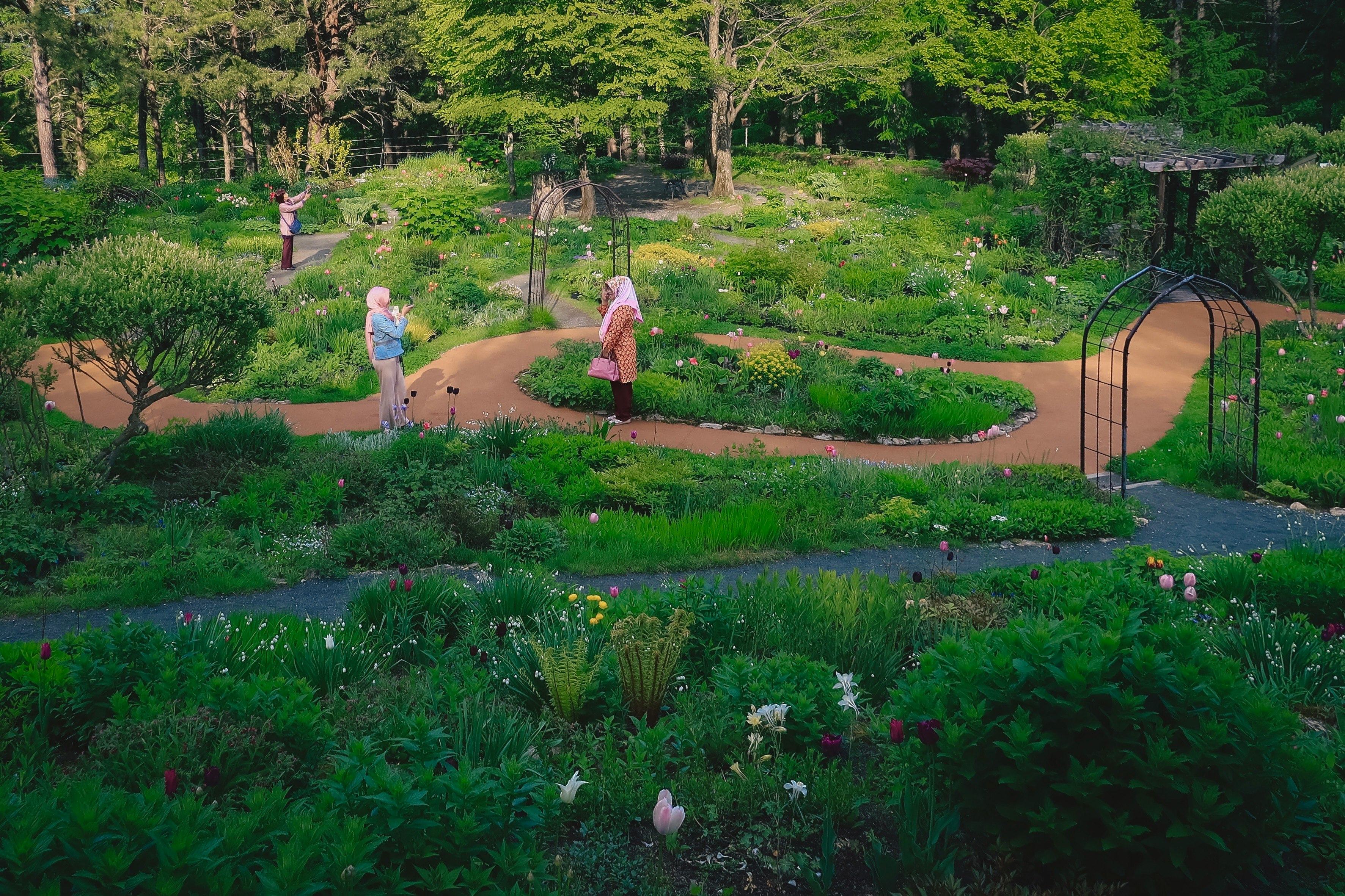 jardin luxuriant avec massifs fleuris et sentiers sinueux