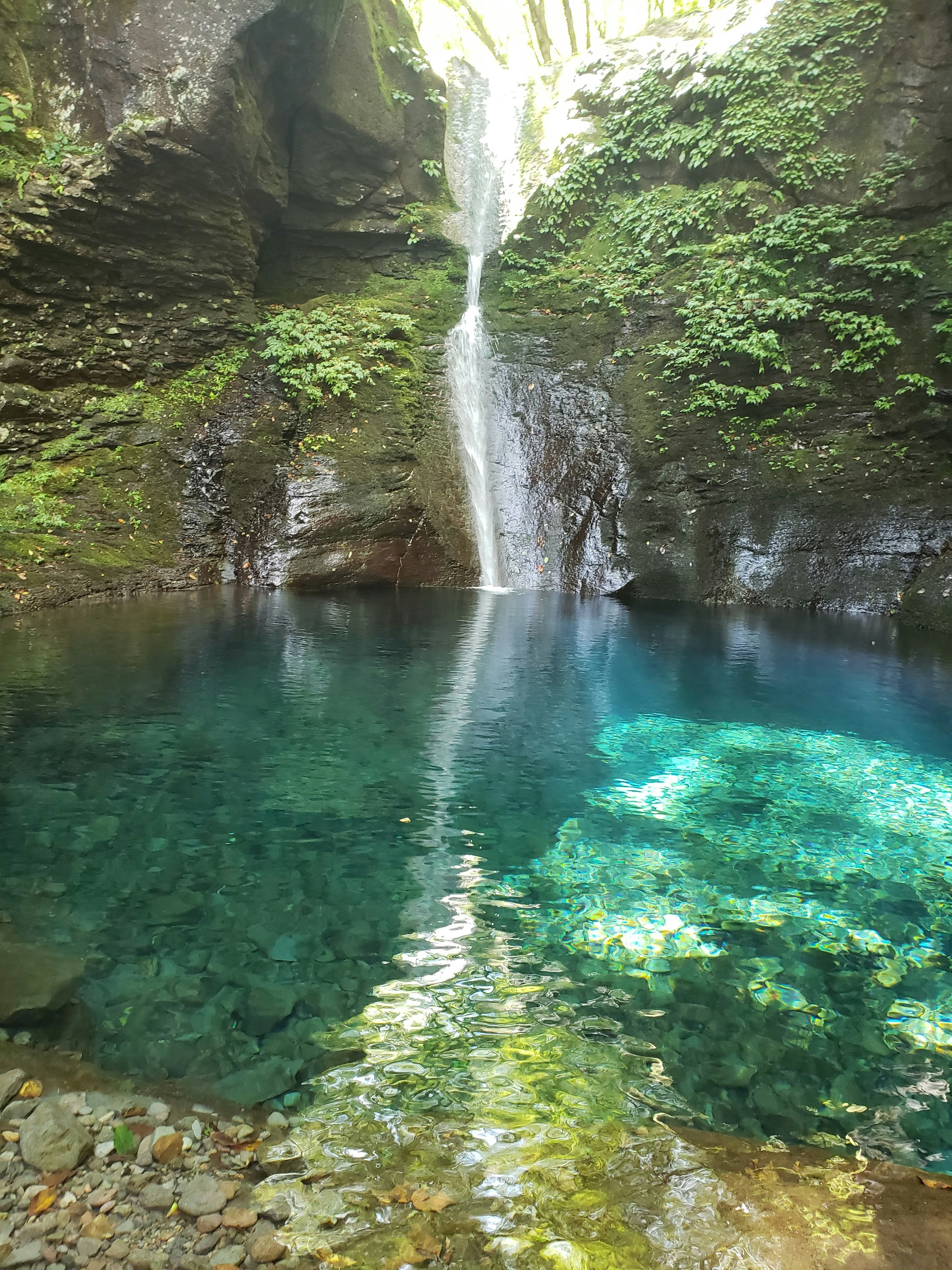 栃木の自然の滝つぼと白い滝の流れのある景色