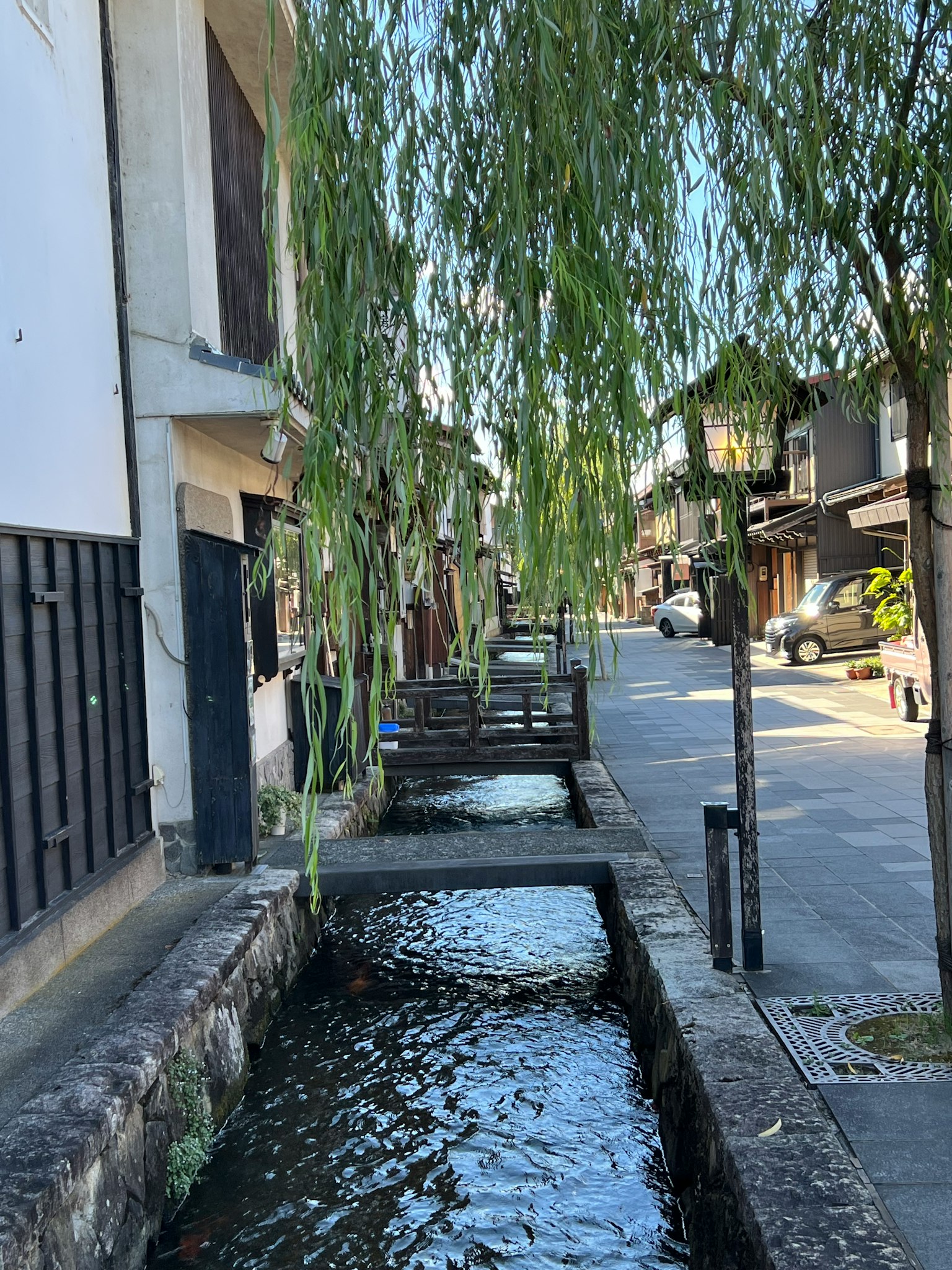 沿着运河的柳树和传统房屋的风景