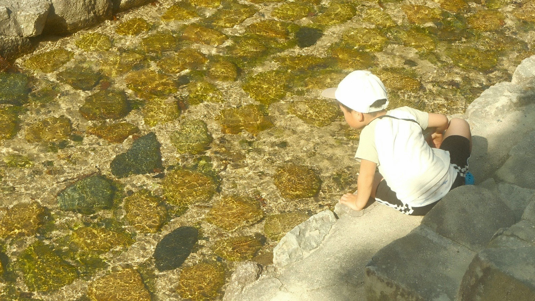 川辺の岩場で水をのぞき込む子ども
