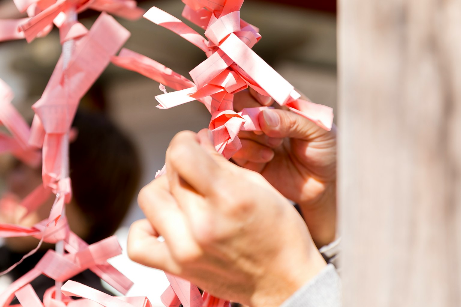 Close-up of hands tying pink ribbons