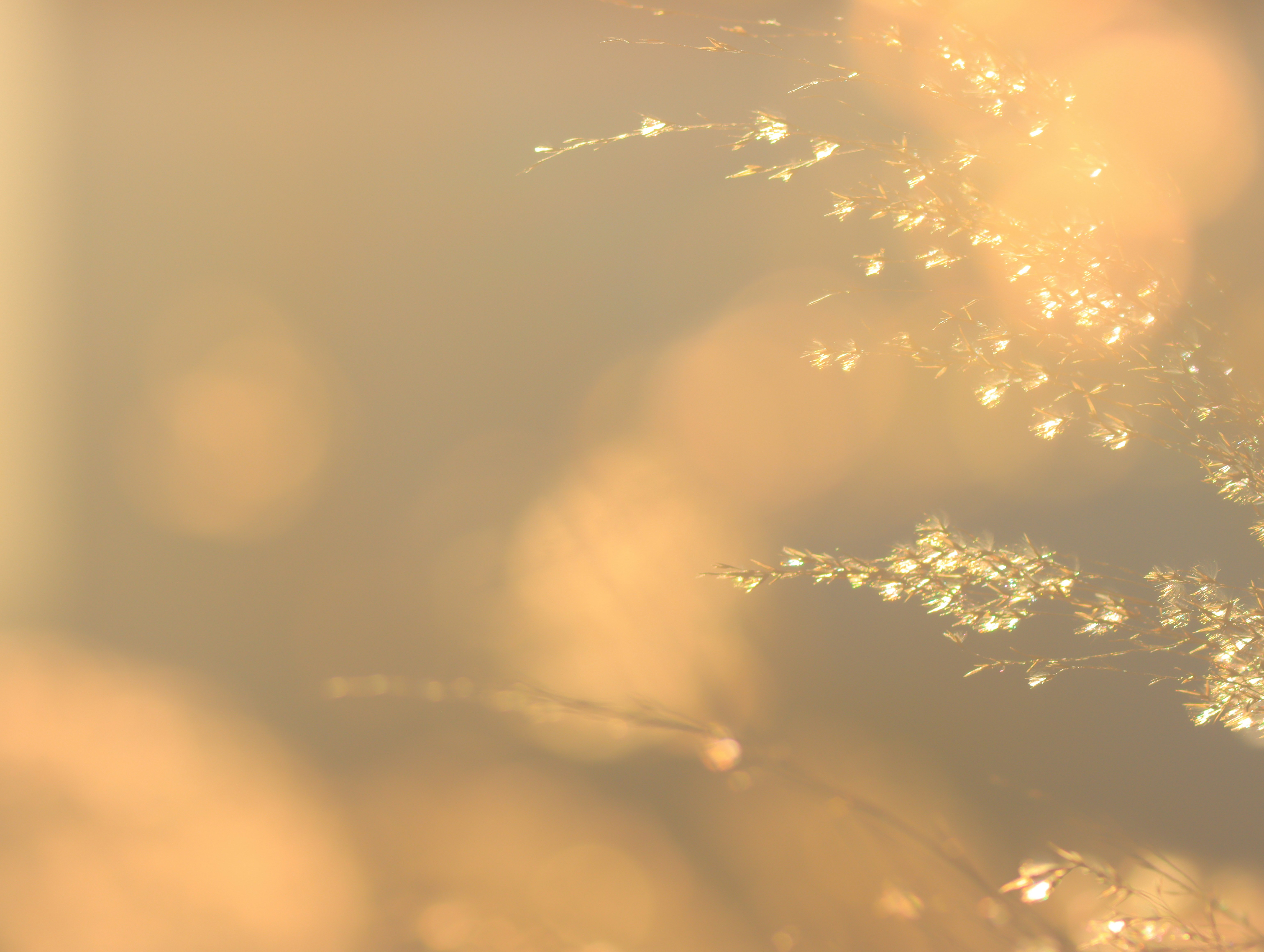 sunset sky with glowing light particles and soft cloud haze