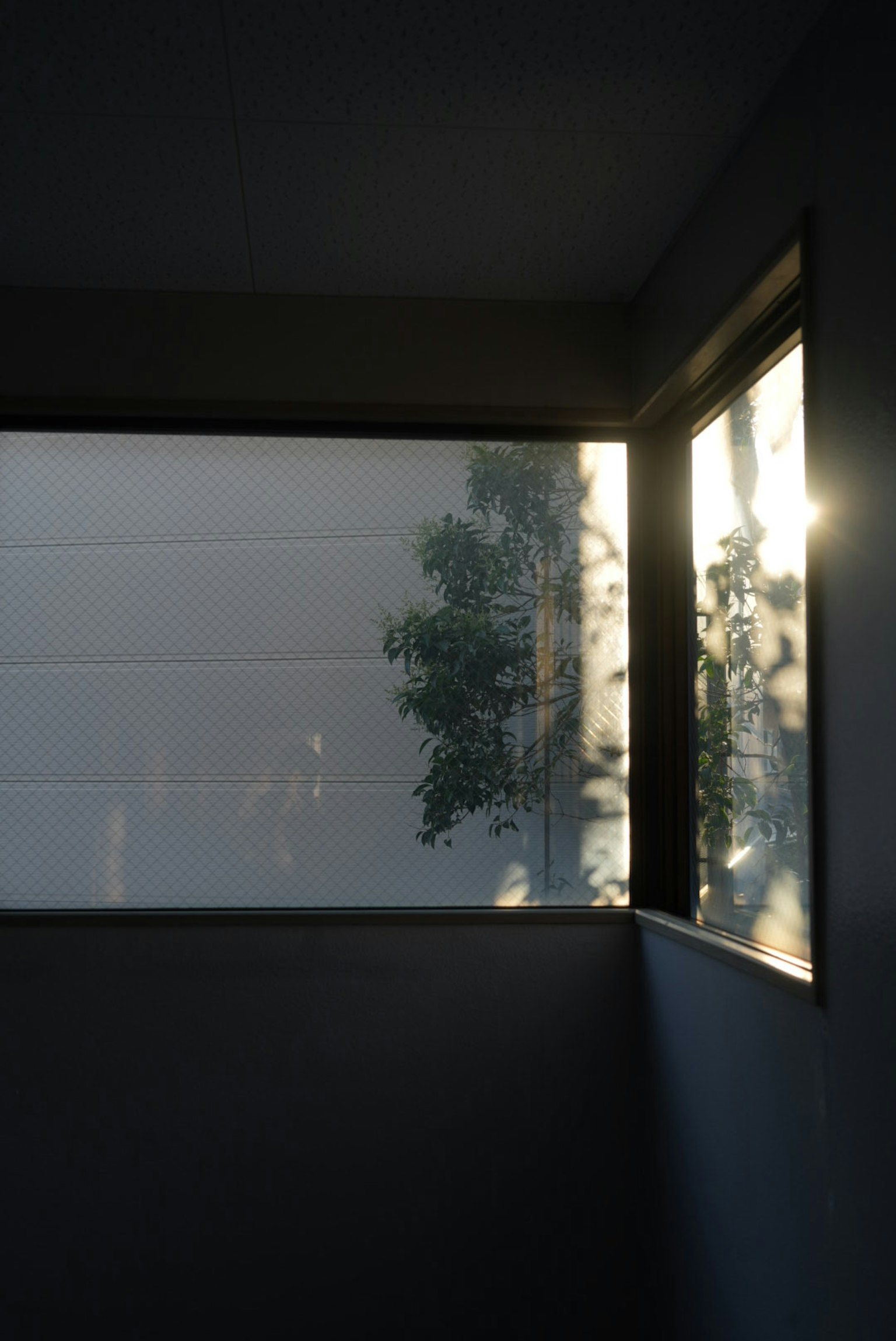 窓からの光と影が映る室内の風景