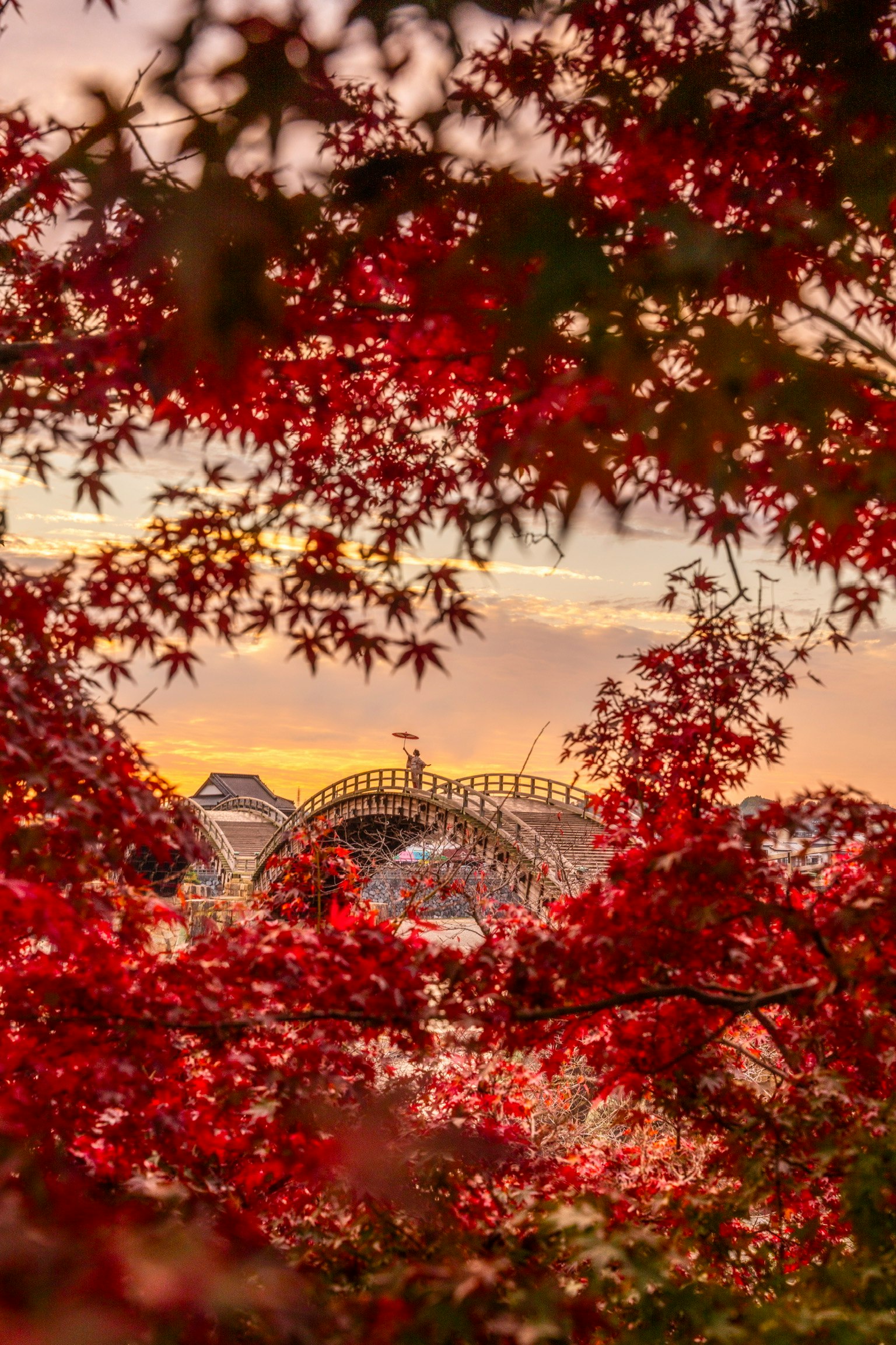紅葉に囲まれた橋の美しい風景