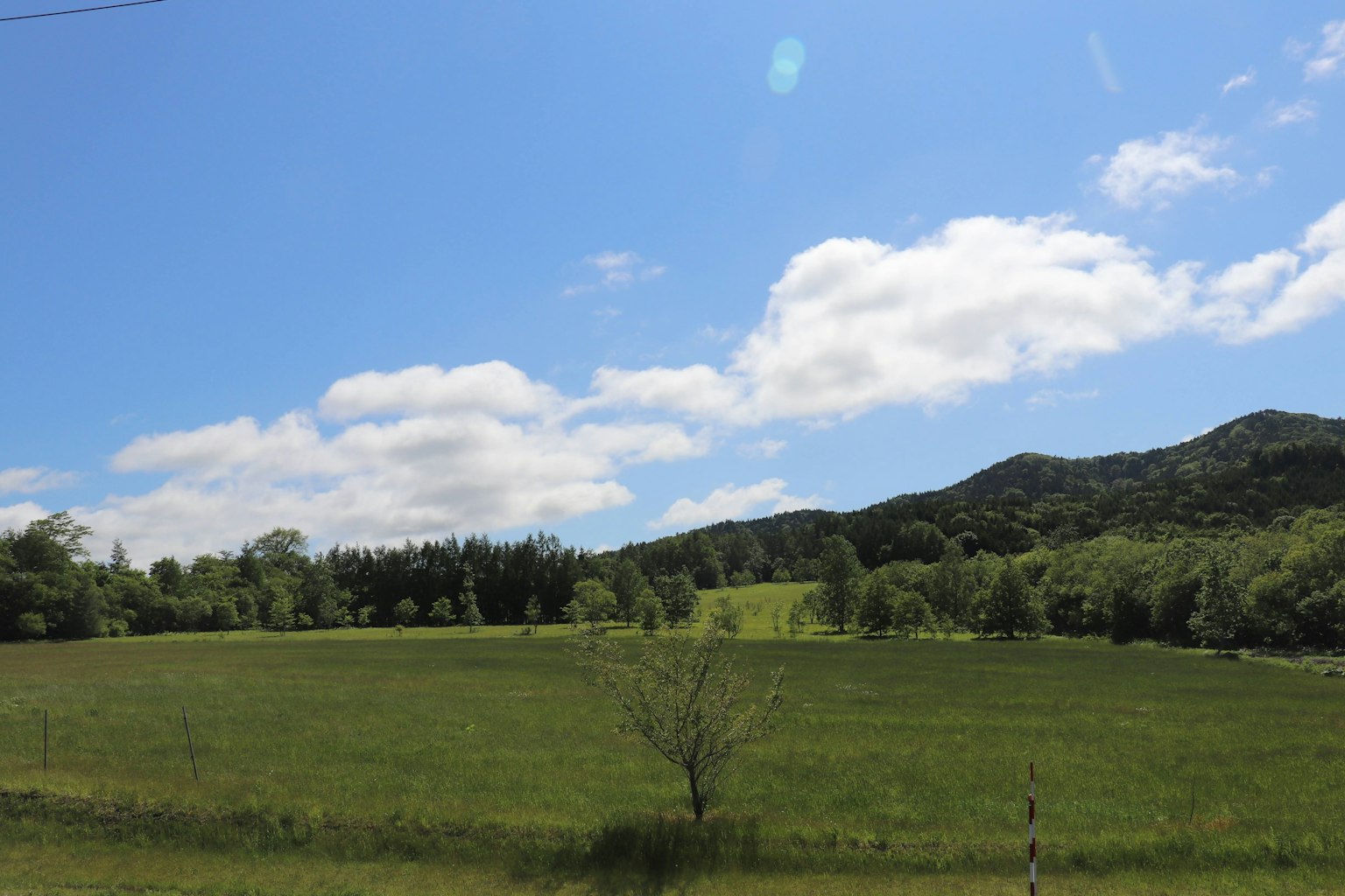 Vaste prairie verte sous un ciel bleu avec des nuages blancs et des collines au loin