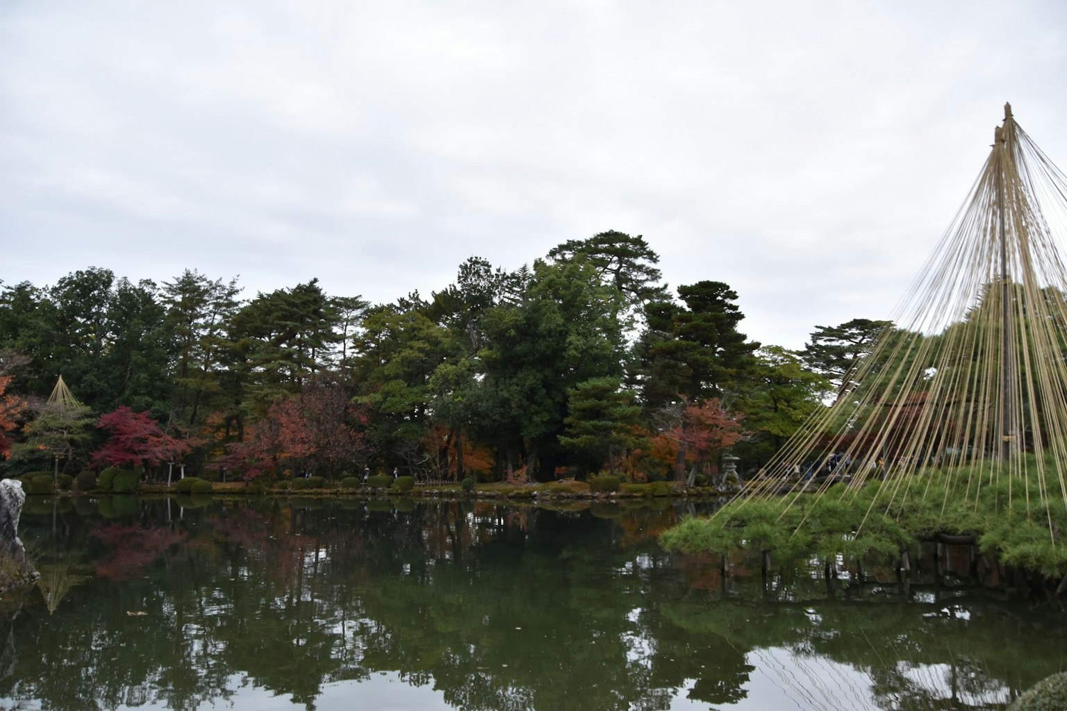 被池塘和树木环绕的美丽秋季风景