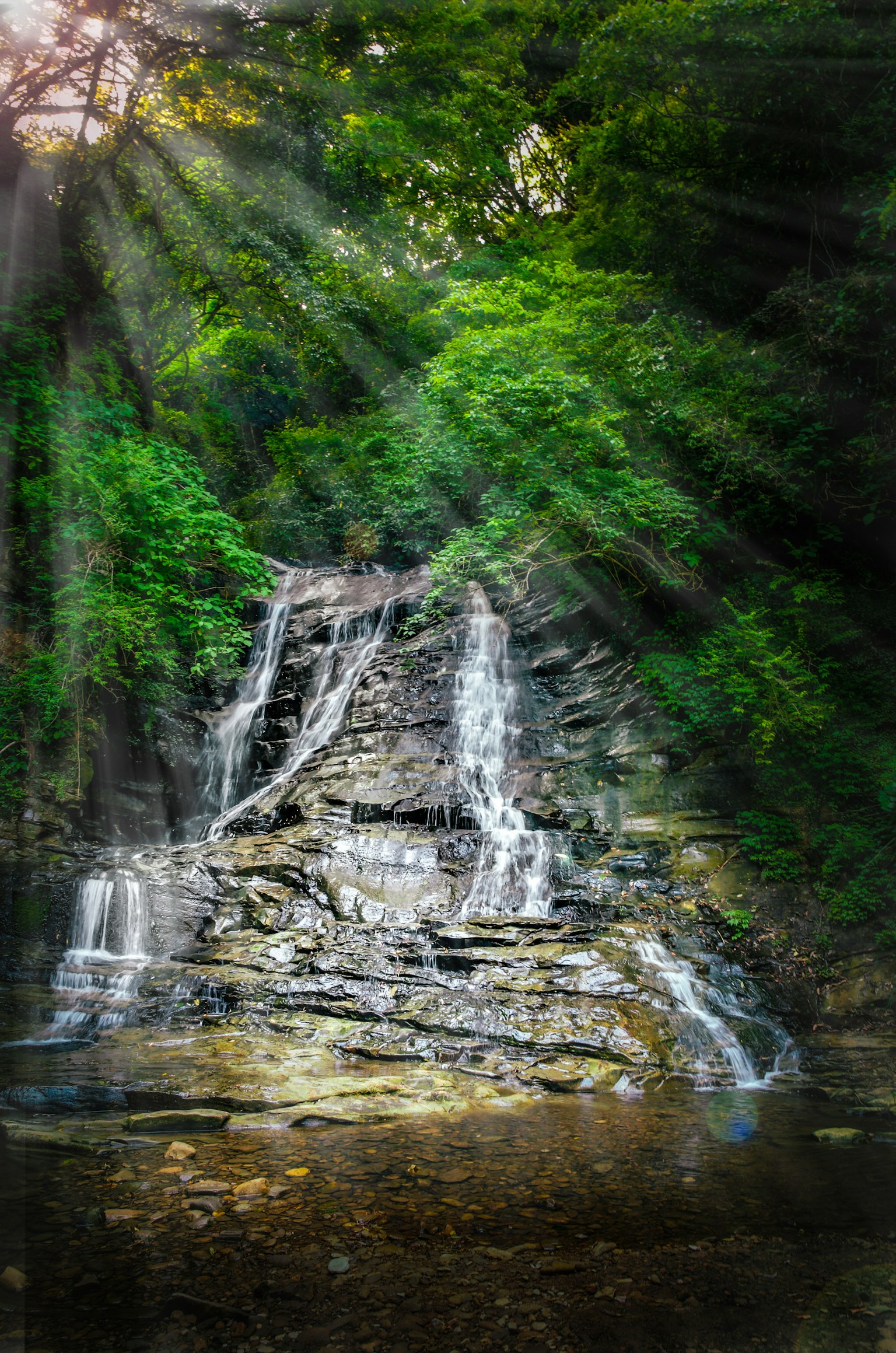 Bella cascata circondata da una vegetazione lussureggiante