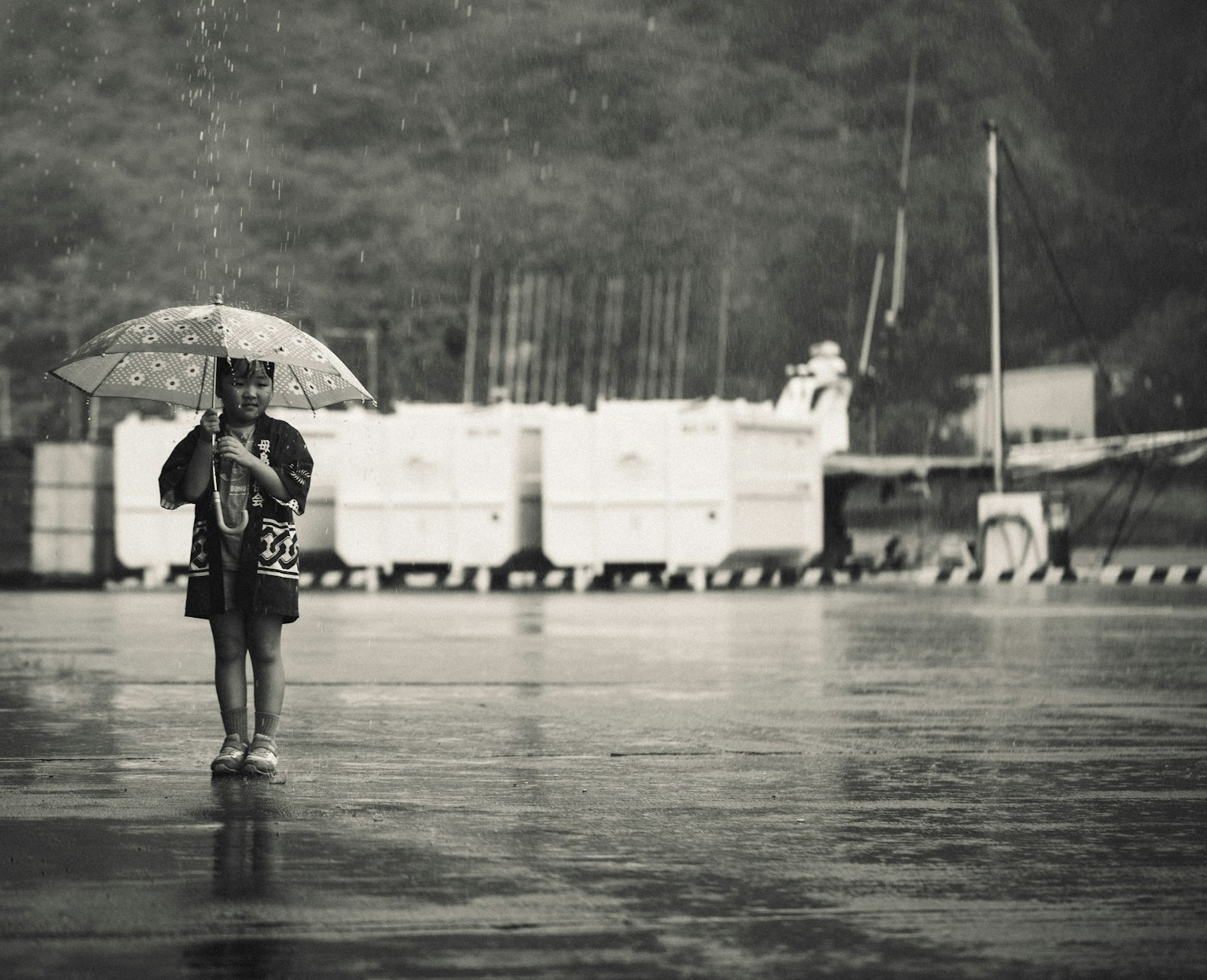 photo-2ldnlreUPUwJJEpHYXmK-image