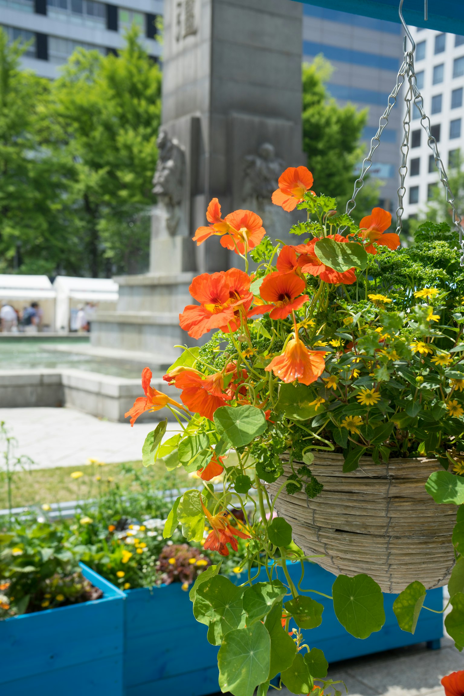 Panier suspendu avec des fleurs orange et des jardinières bleues dans un parc
