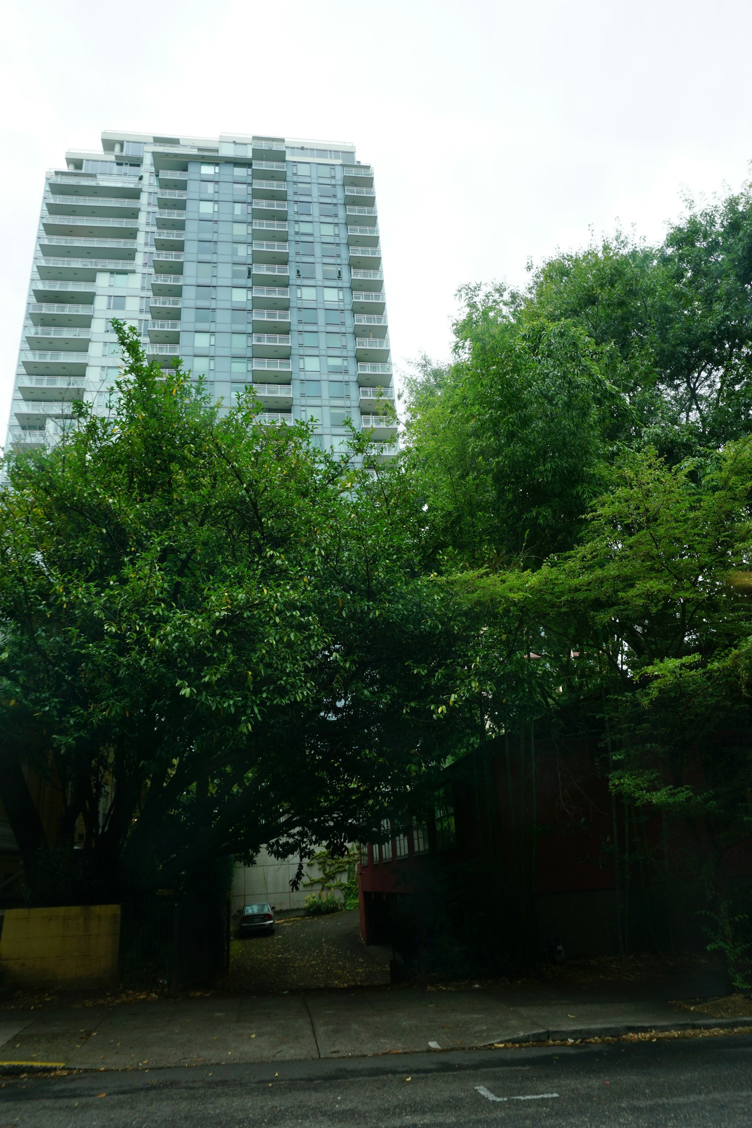 Un edificio alto visto attraverso alberi verdi e rigogliosi