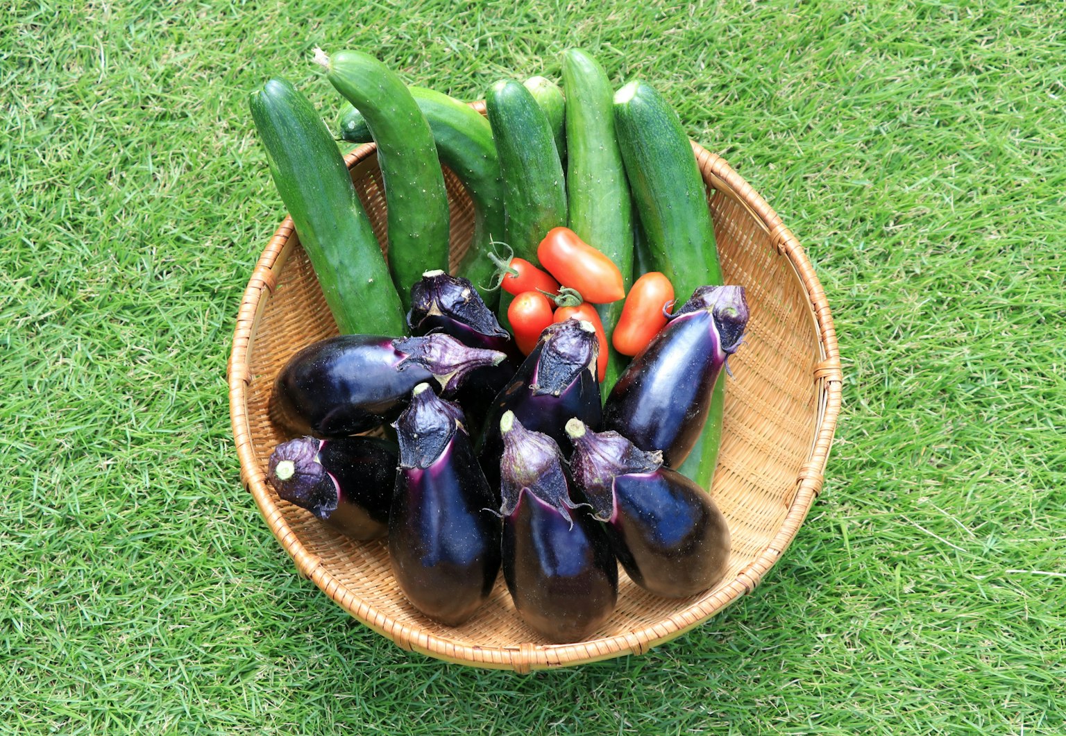 Una cesta tejida llena de berenjenas, calabacines y tomates cherry frescos sobre césped verde