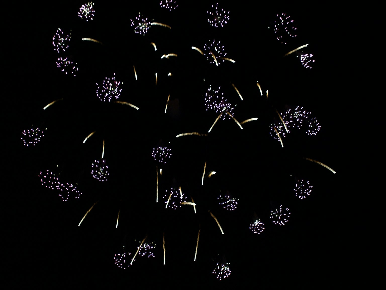 Fuegos artificiales estallando en luz blanca sobre fondo negro