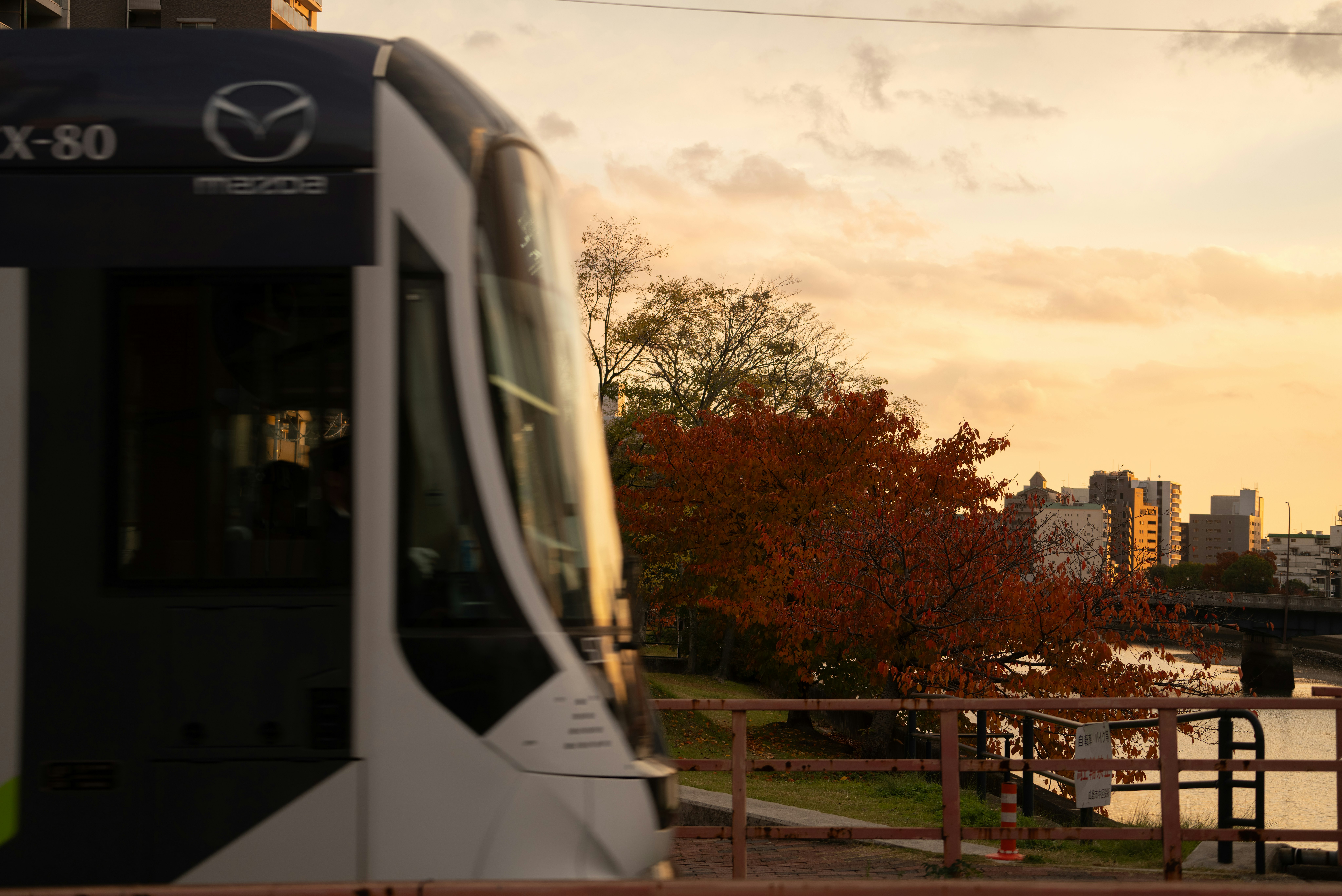 夕暮れの車両と線路沿いの公園風景