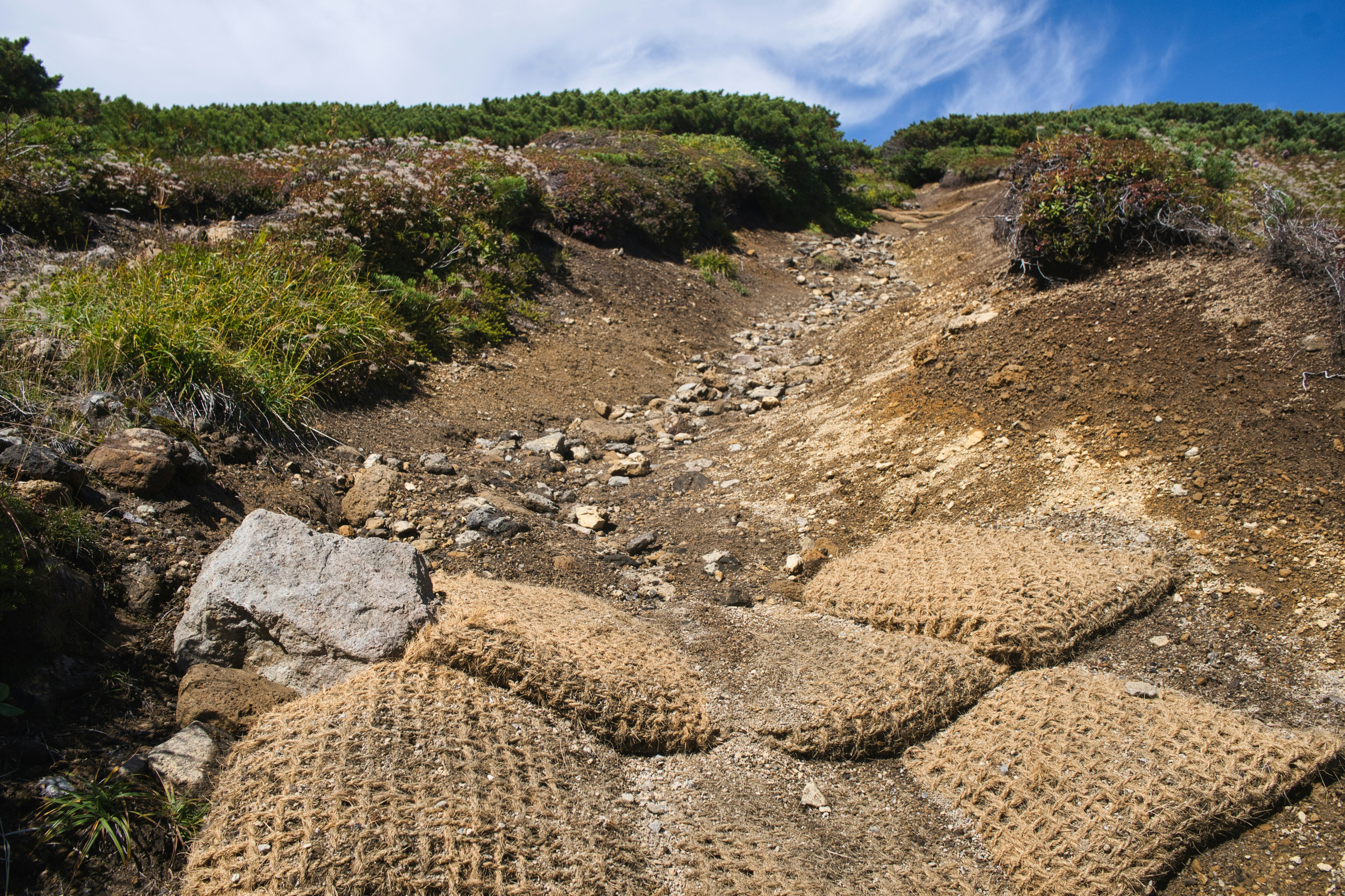 ladera de montaña con estructuras de control de la erosión de rocas y vegetación