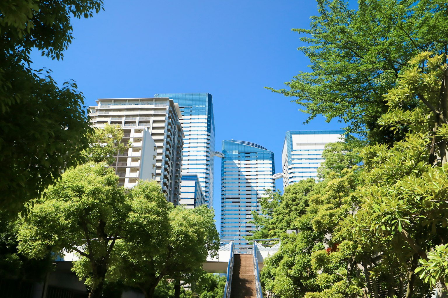 城市景观，蓝天白云下高楼大厦和郁郁葱葱的树木