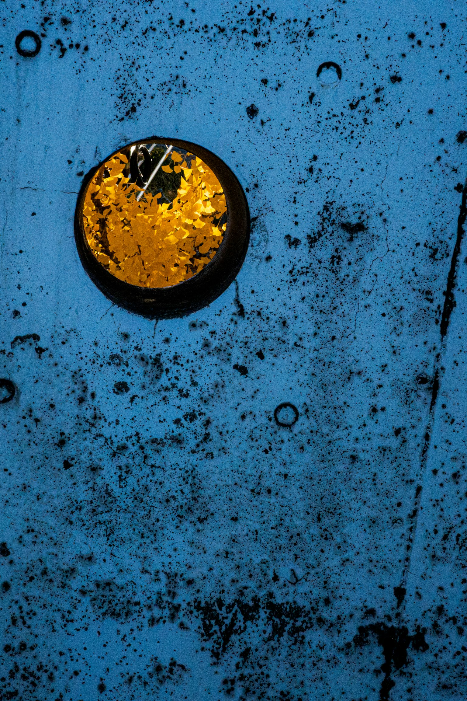蓝色背景上有一个带有纹理的黄色圆形物体
